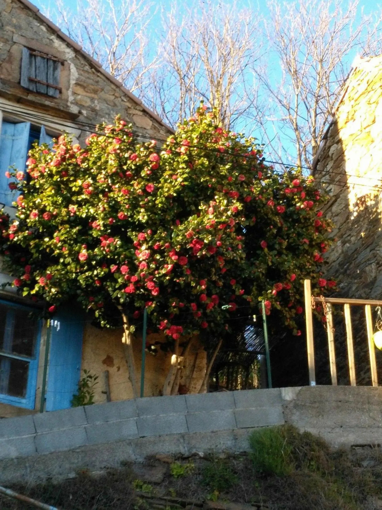 View (from property/room) in Le camélia de la mazarié