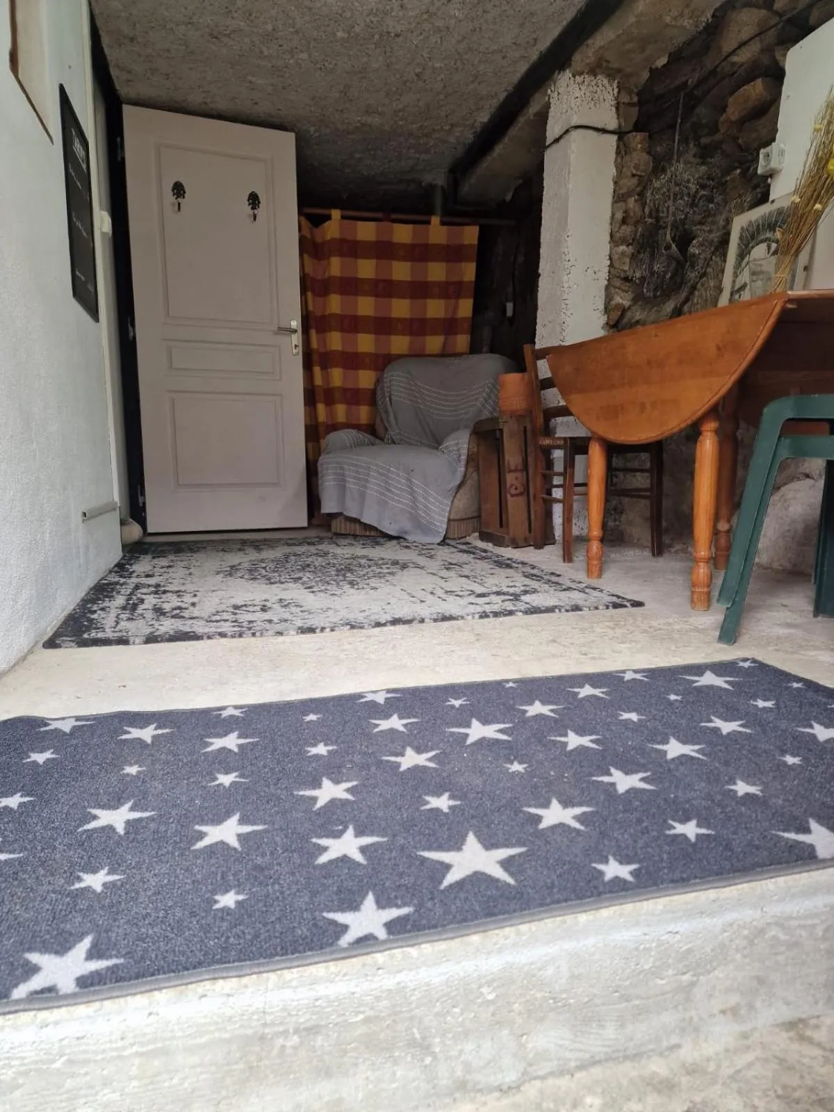 Le camélia de la mazarié