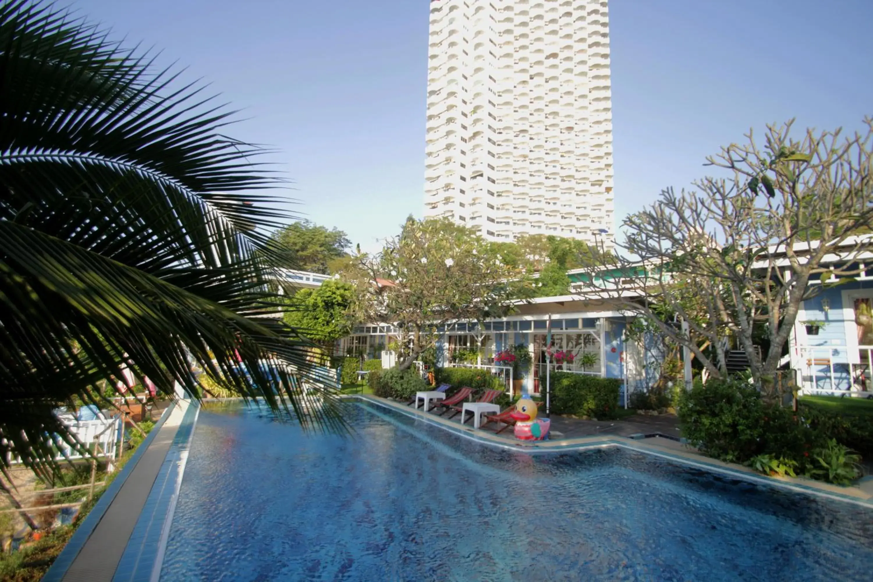 Swimming pool in Pattaya Paradise Beach Resort Swimming pool in Pattaya Paradise Beach Resort