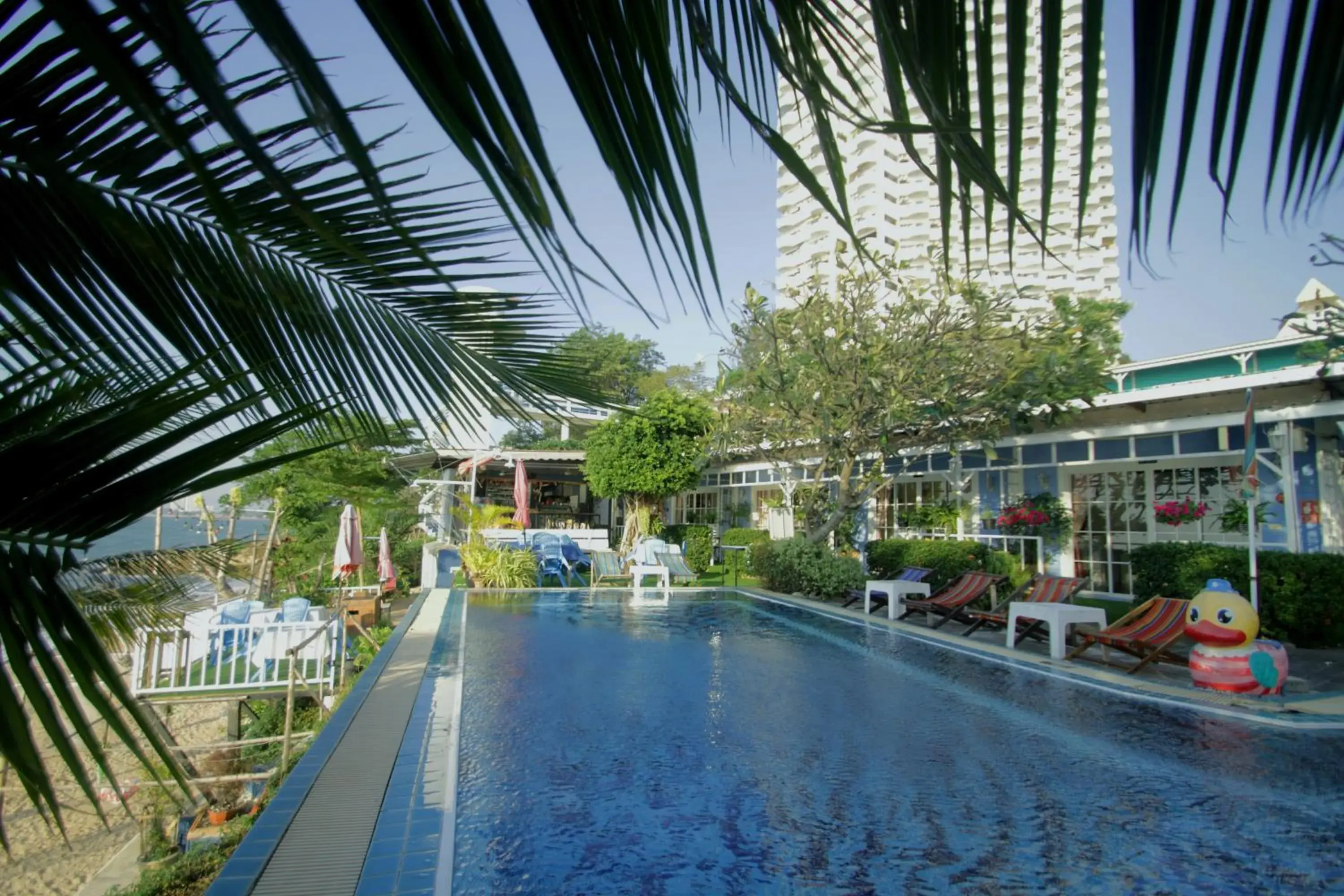 Pool view in Pattaya Paradise Beach Resort Pool view in Pattaya Paradise Beach Resort