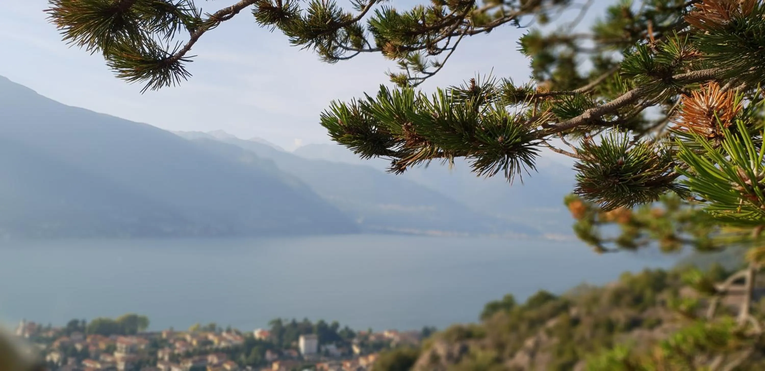 Mountain view in LA MAGNOLIA Guests House