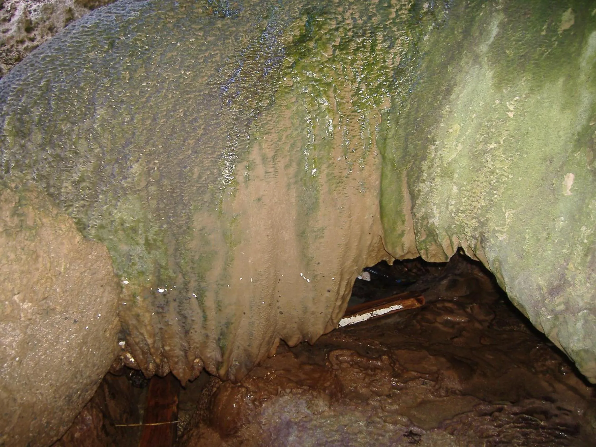 Natural landscape in Theresa Hotel at Karpaz Peninsula