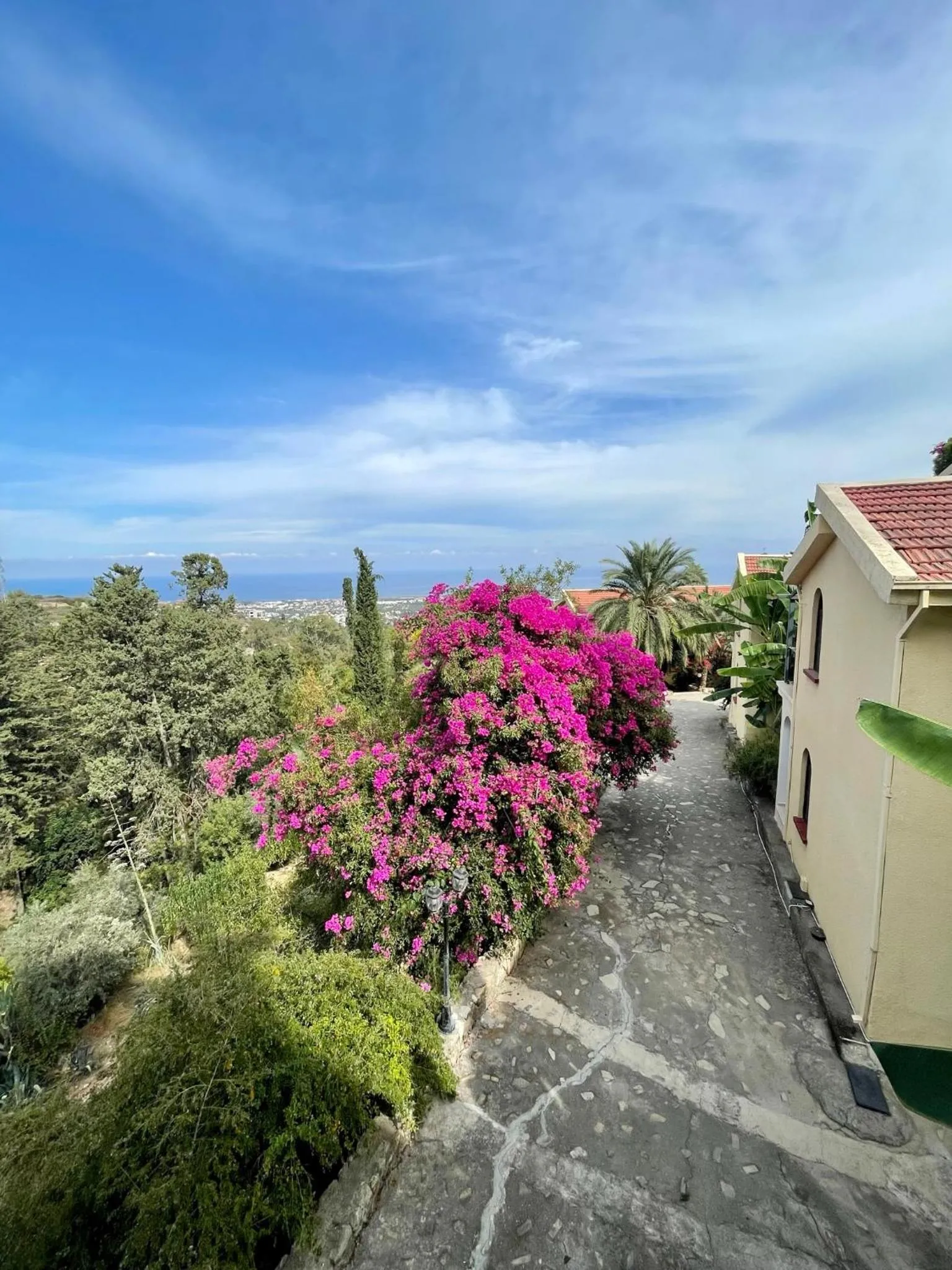 Bellapais Gardens