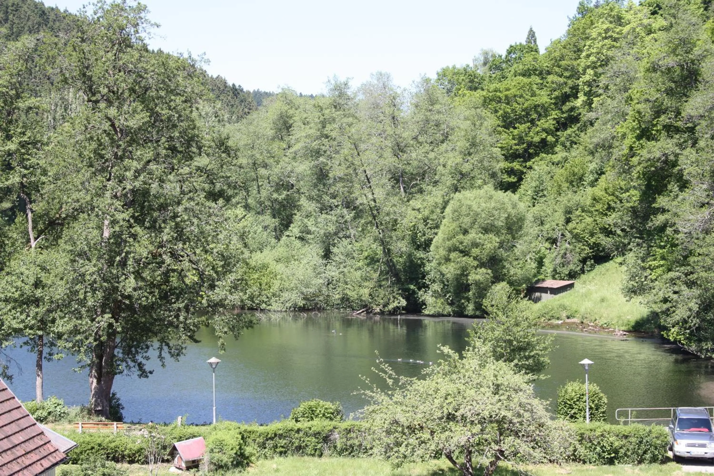 Area and facilities in Hotel Rössle Berneck