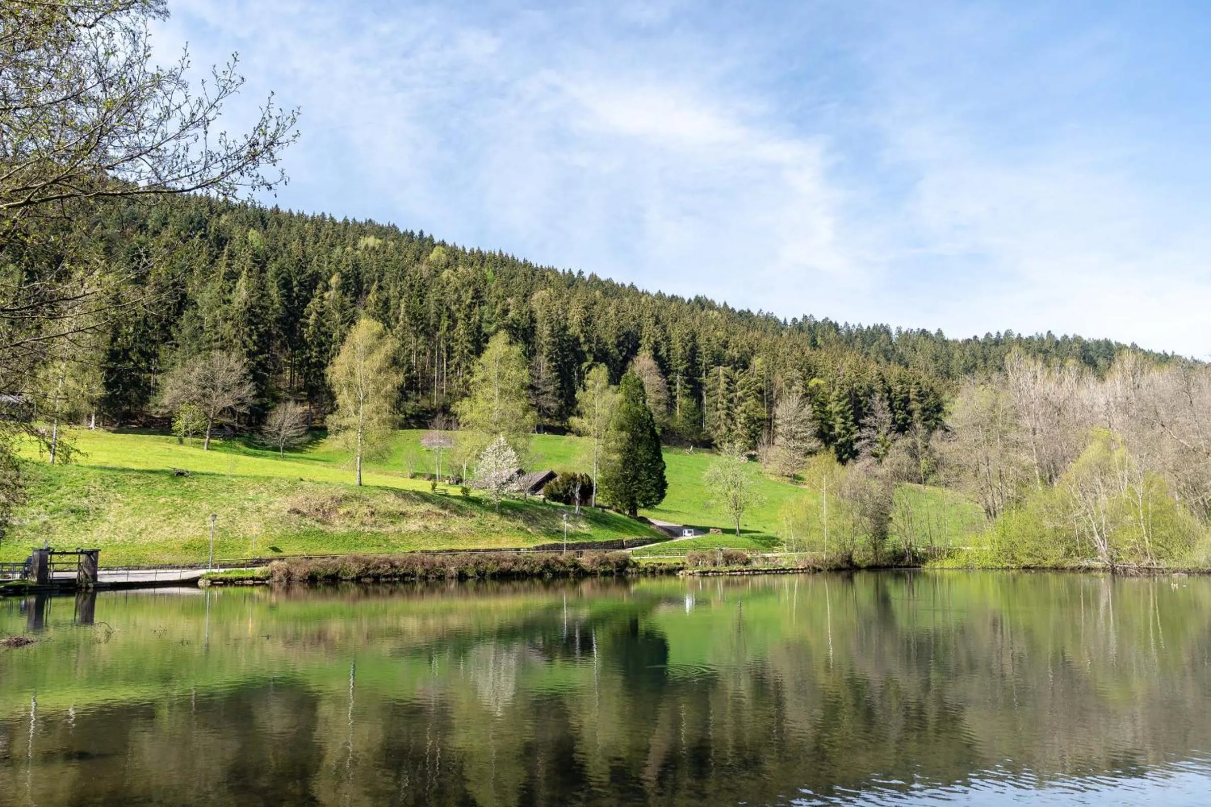 Natural landscape in Hotel Rössle Berneck