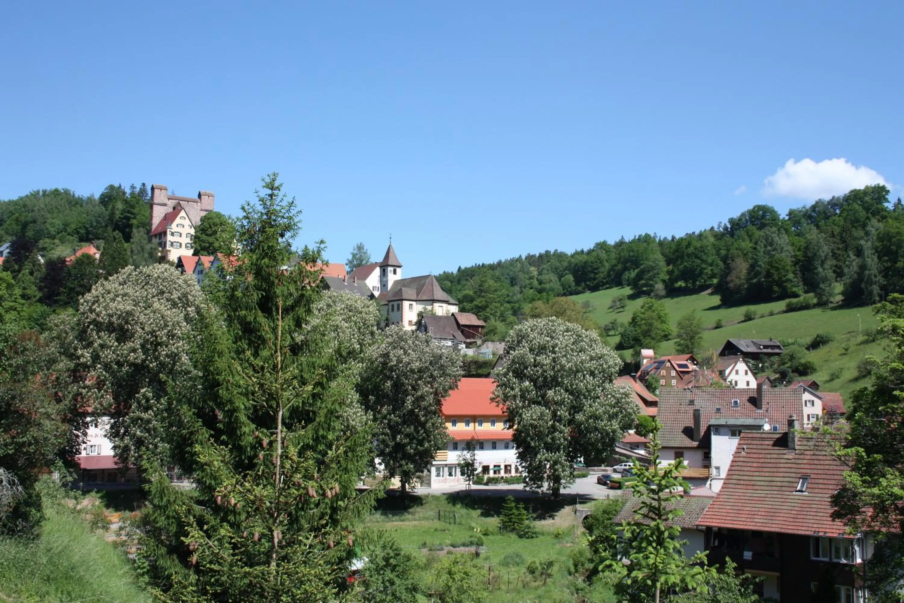 Area and facilities in Hotel Rössle Berneck