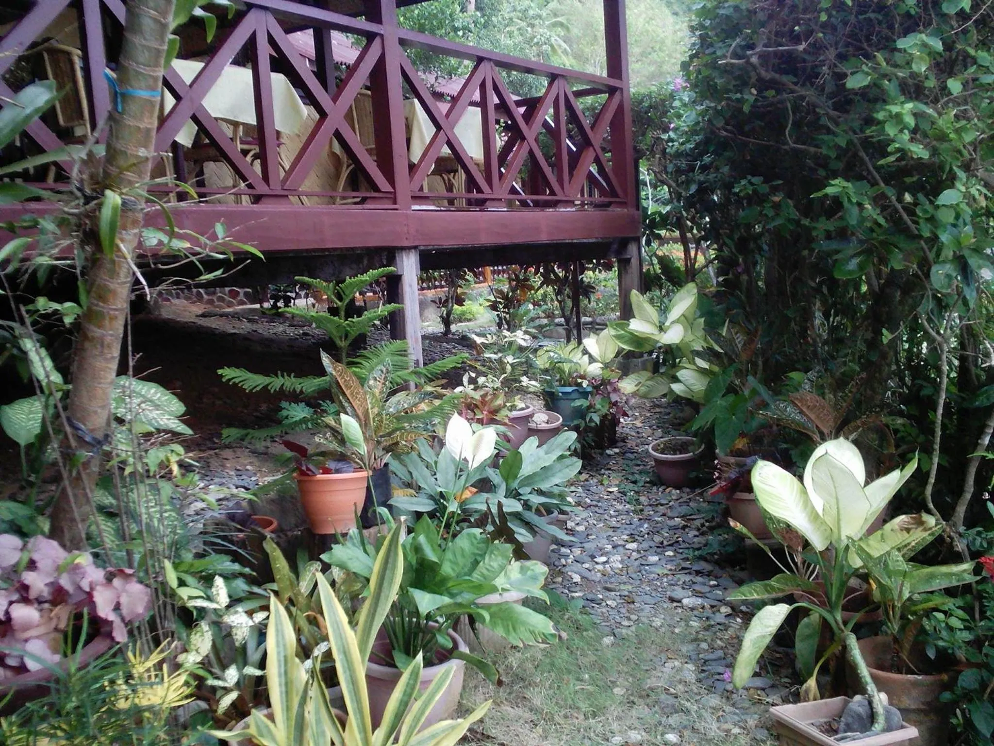 Coconut Garden Island Resort