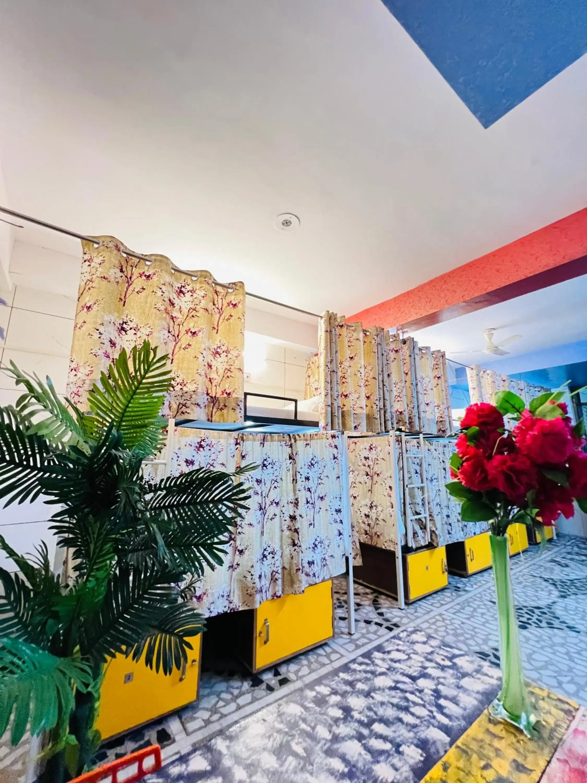 bunk bed in Hotel Moon Light Palace bunk bed in Hotel Moon Light Palace