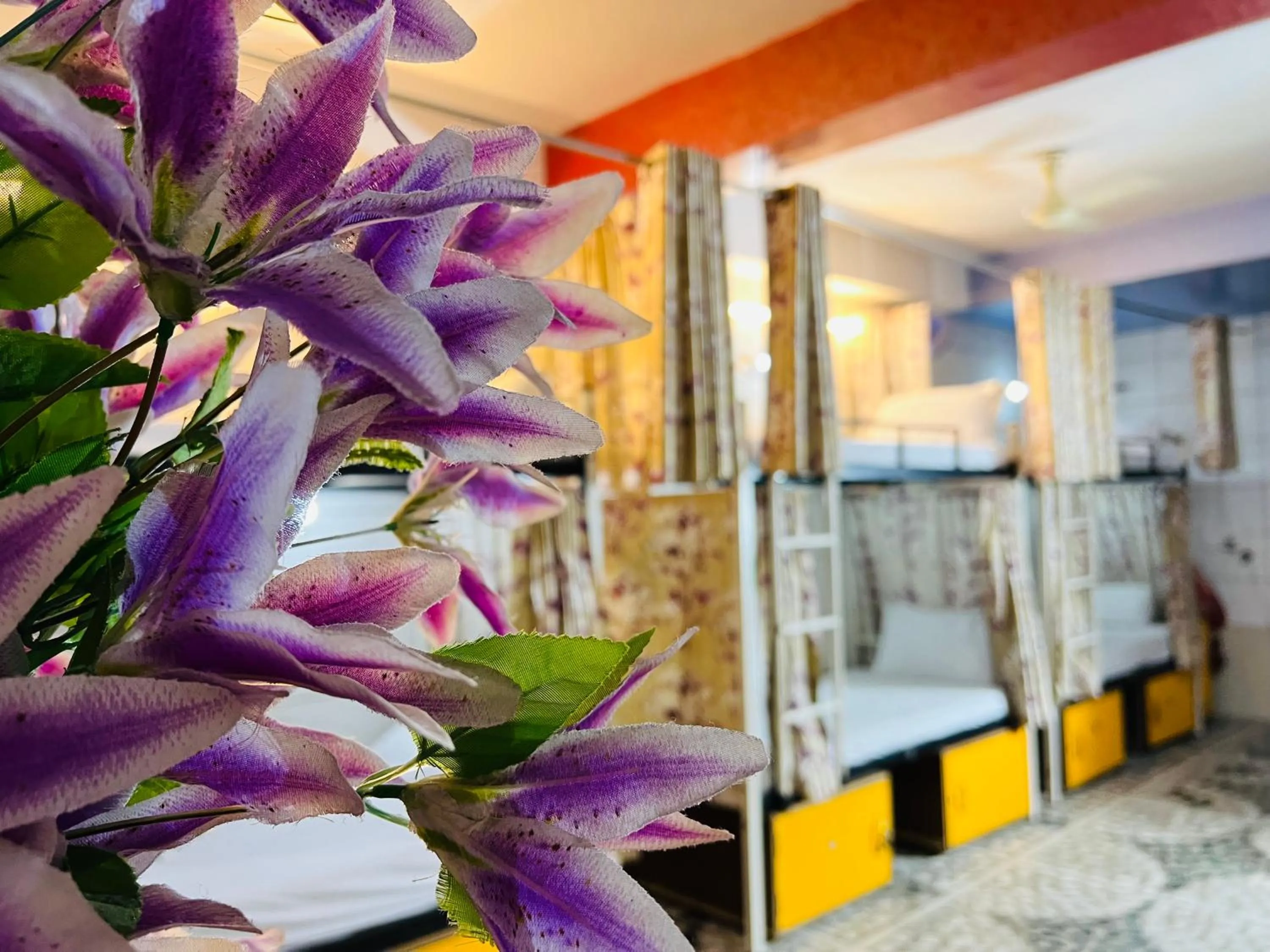 bunk bed in Hotel Moon Light Palace