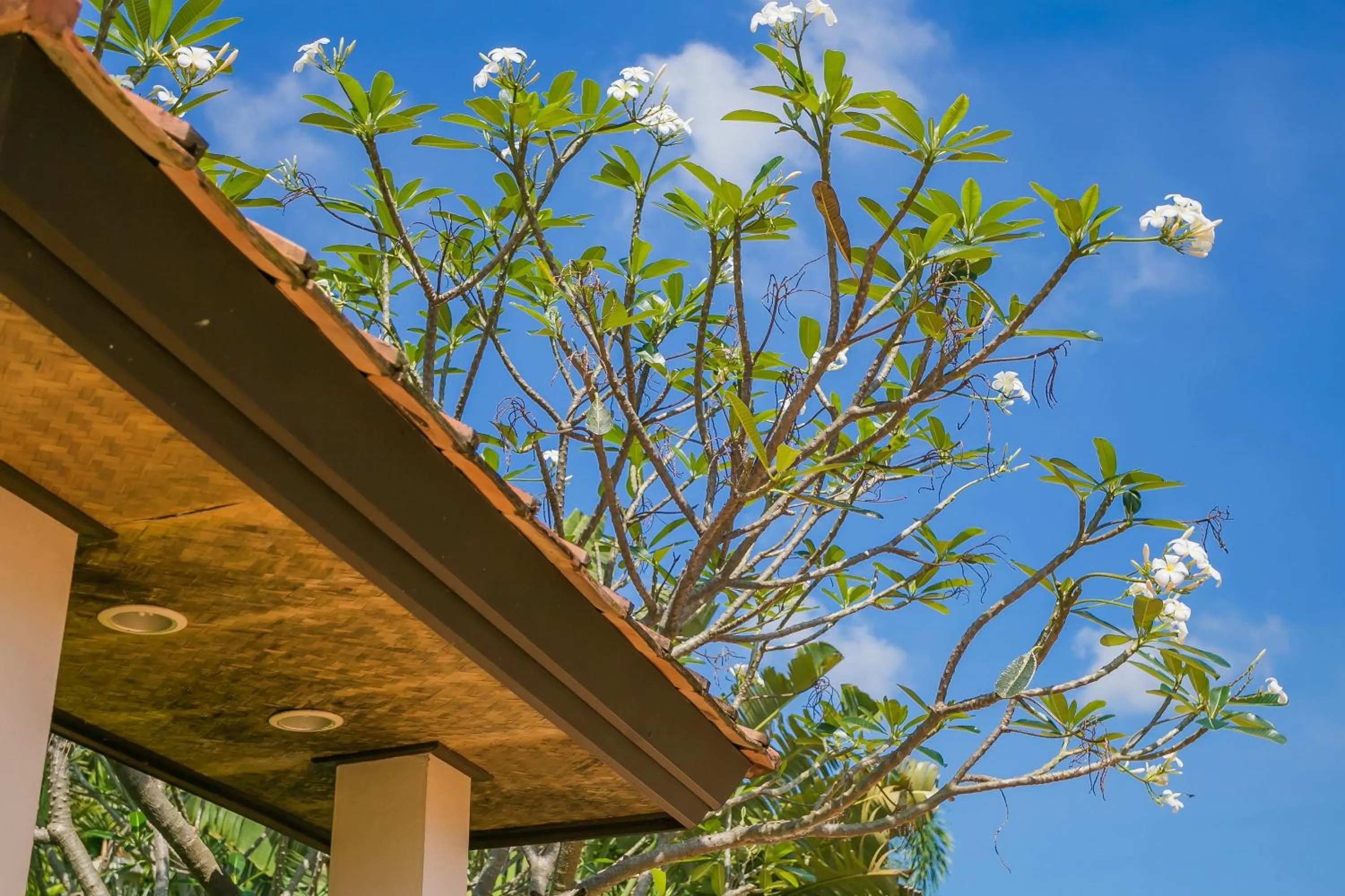 Pa Prai Villas and Suites Resort