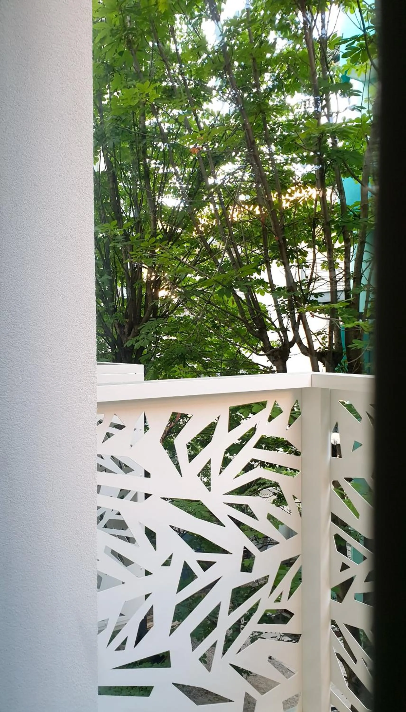 Property building in Color Hotel Rimini