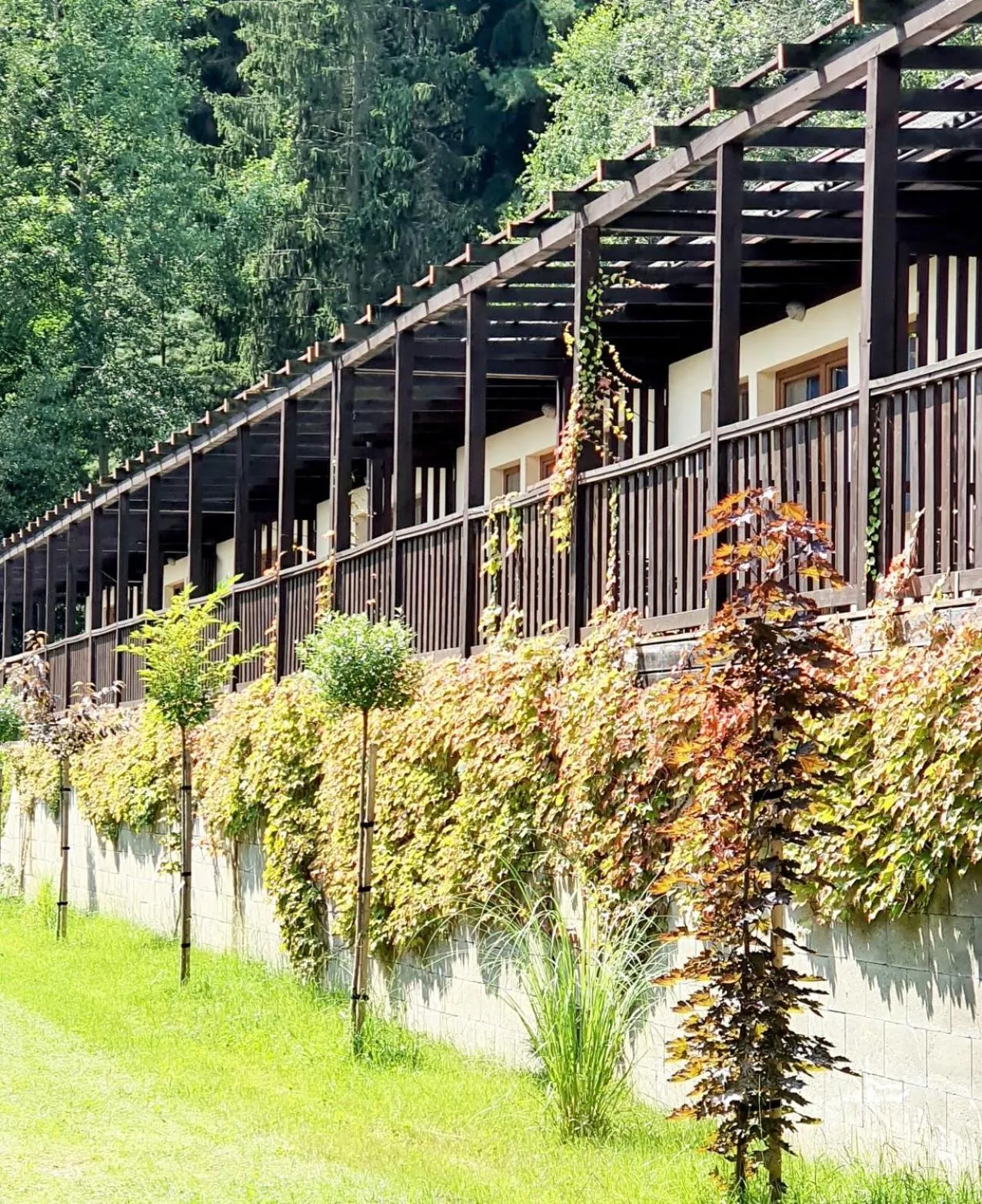 Balcony/Terrace in Resort Lesní Lázně