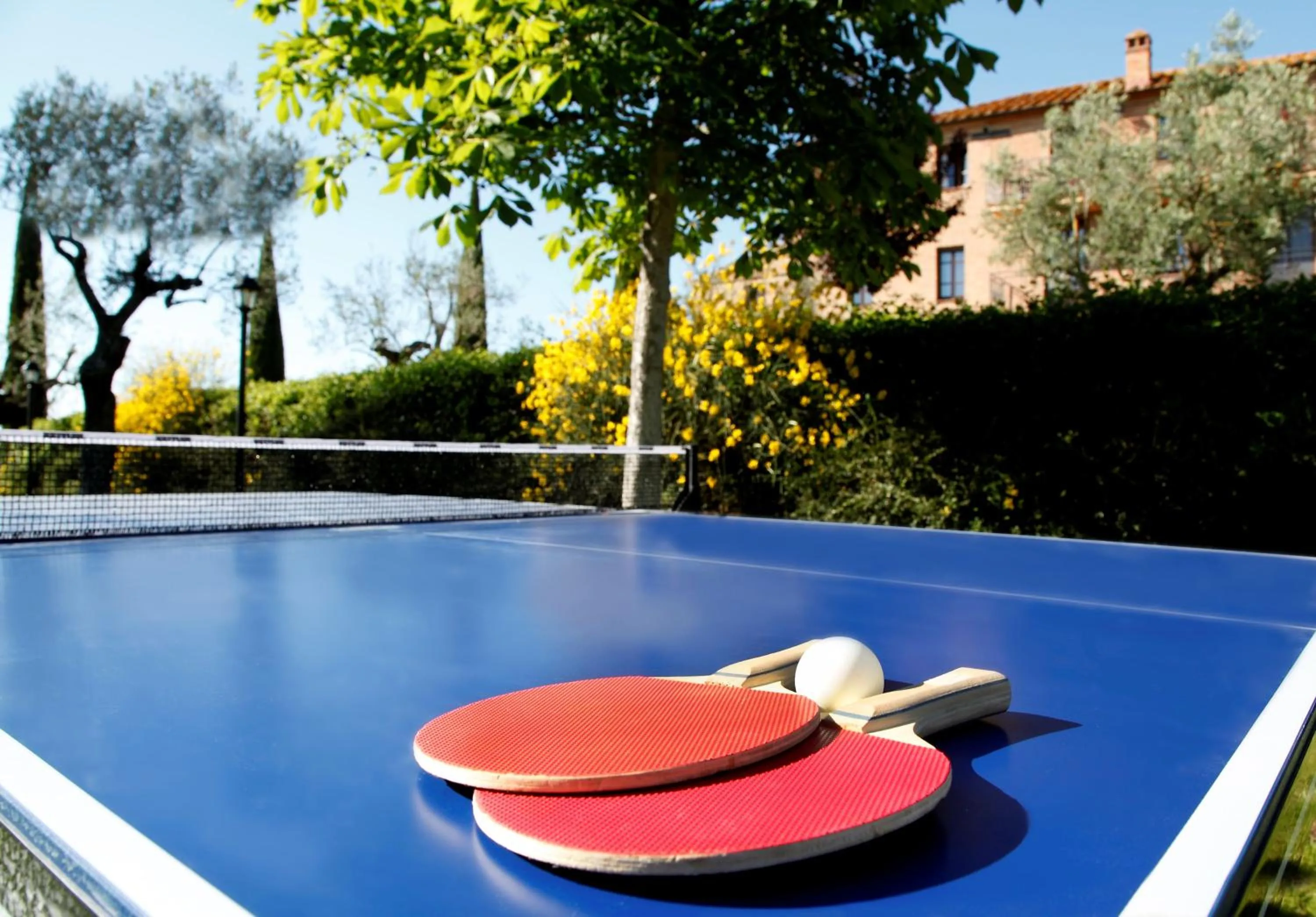 Table tennis in Borgo Tre Rose