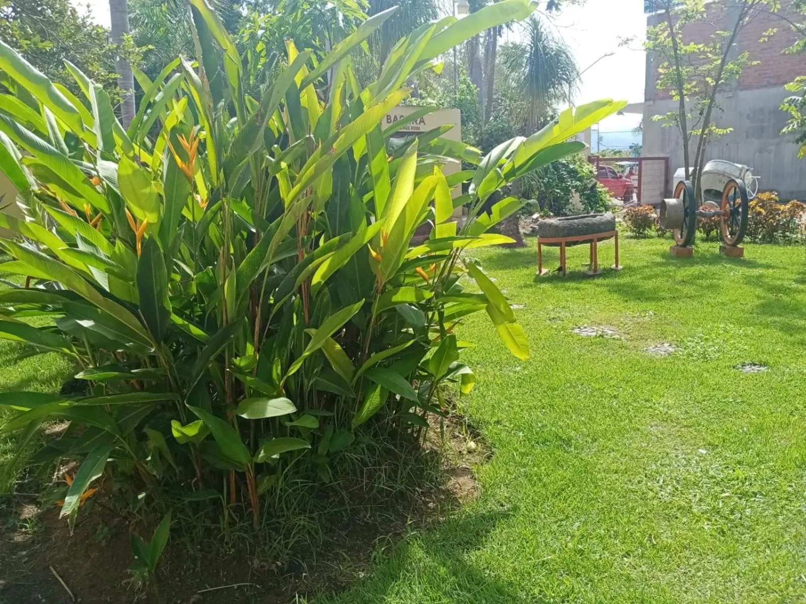 Garden in Villas Dulce Suenos