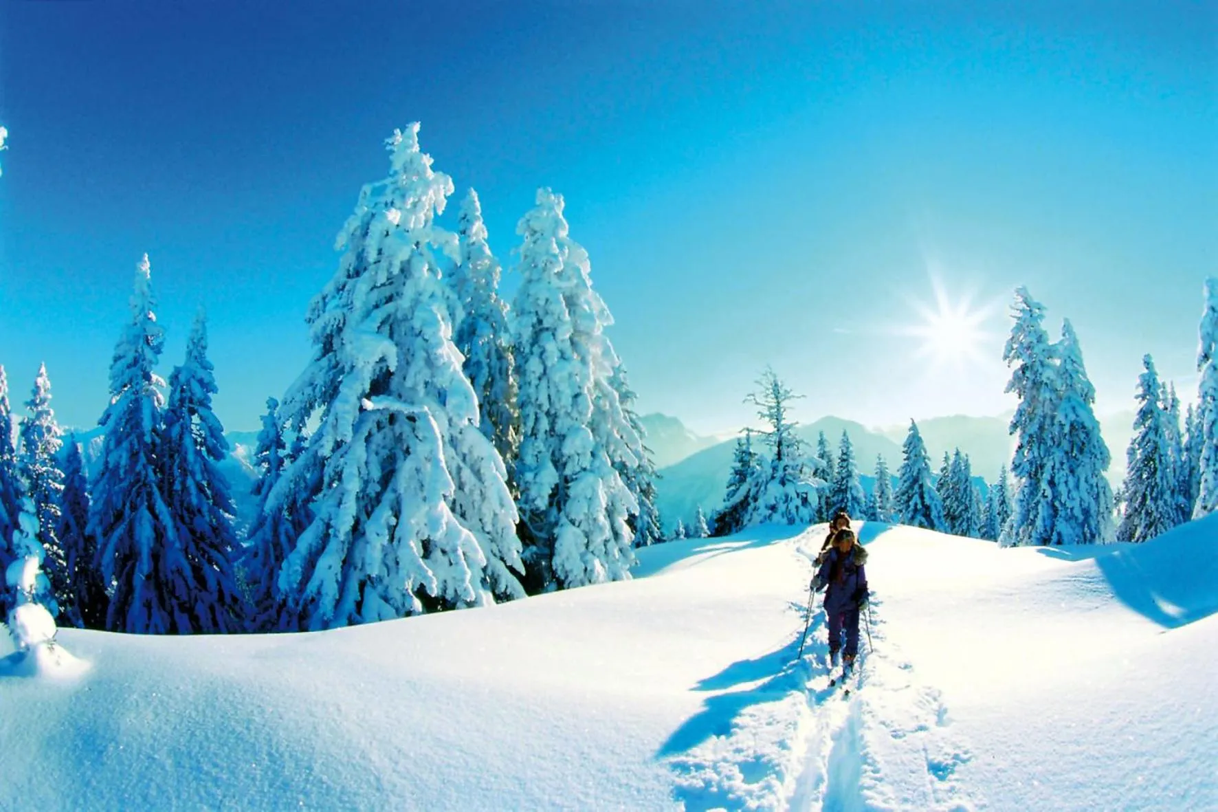 Winter in Mammhofer Suite & Breakfast