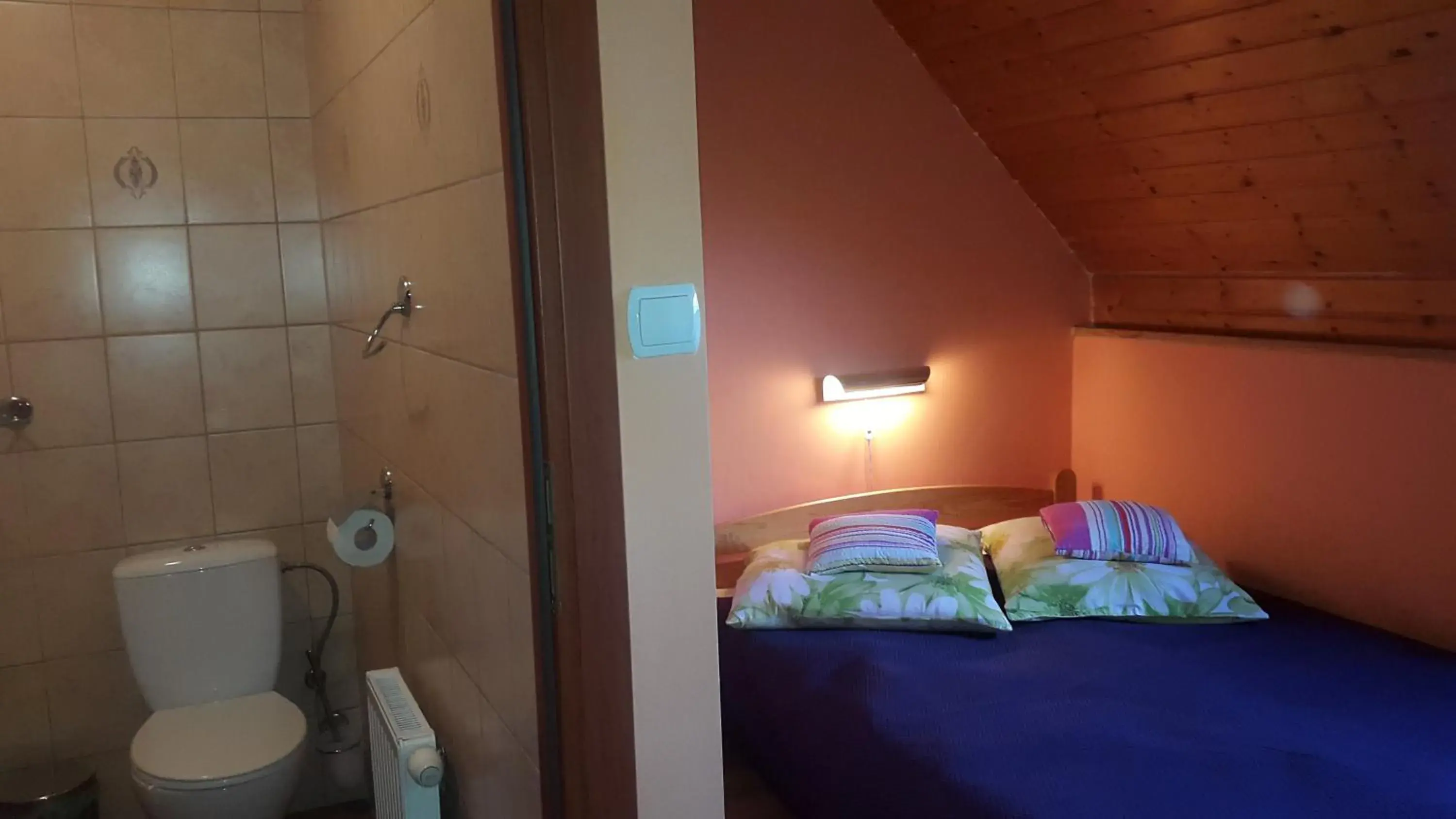 Single Room in Koliba Single Room in Koliba