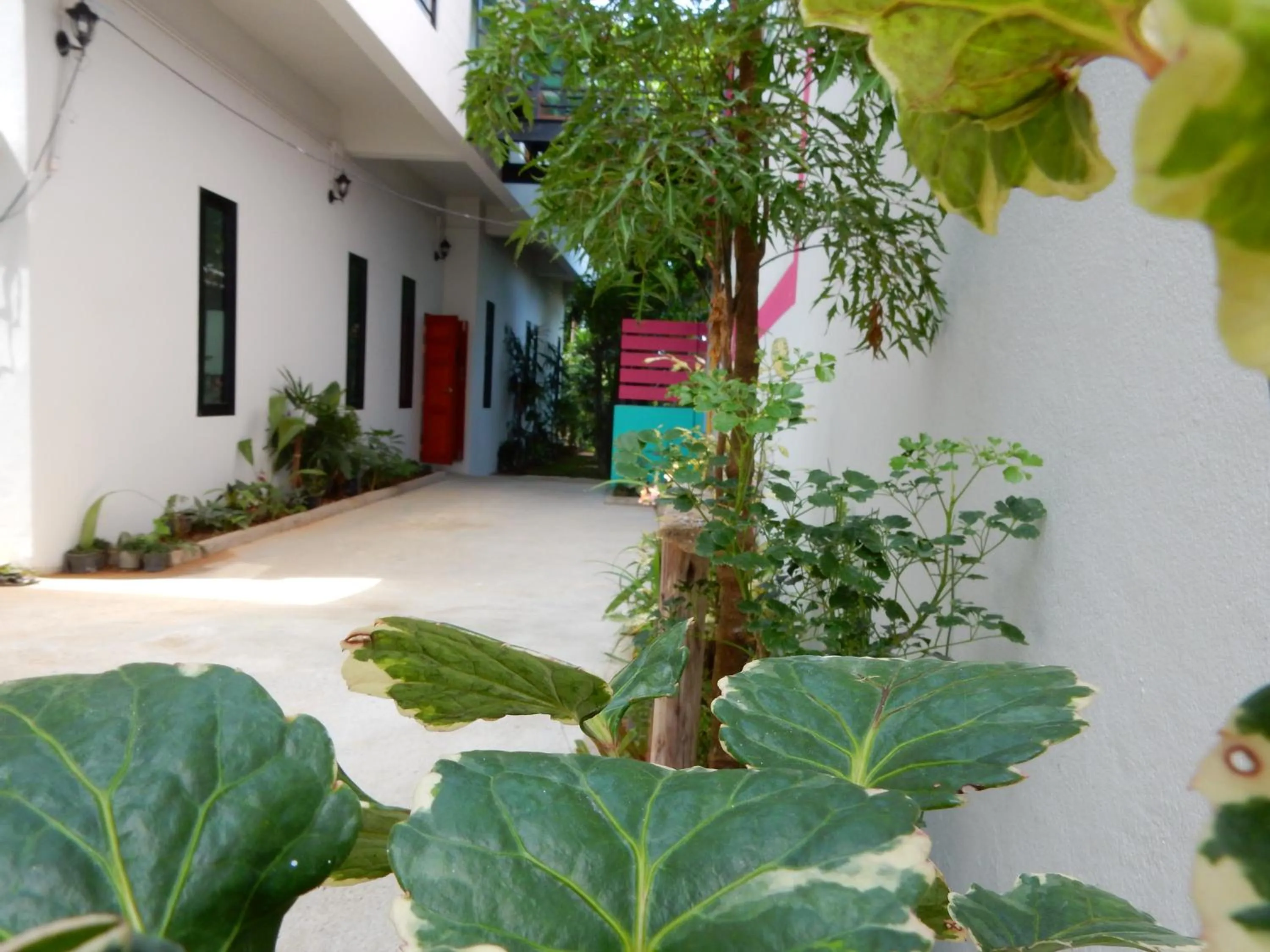 Natural landscape in Wandee Bed & Breakfast