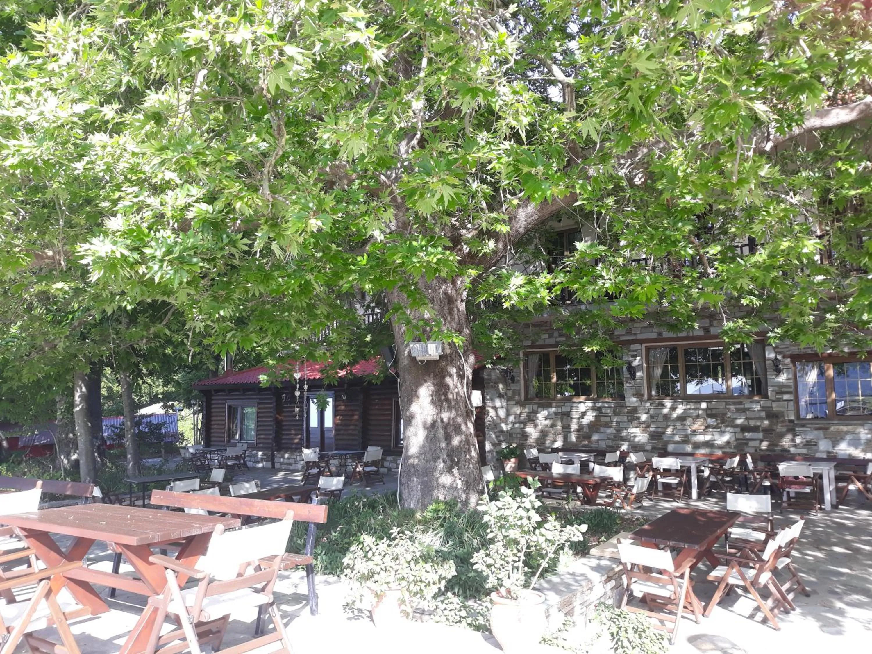 Restaurant/places to eat in Manthos Mountain Resort & Spa