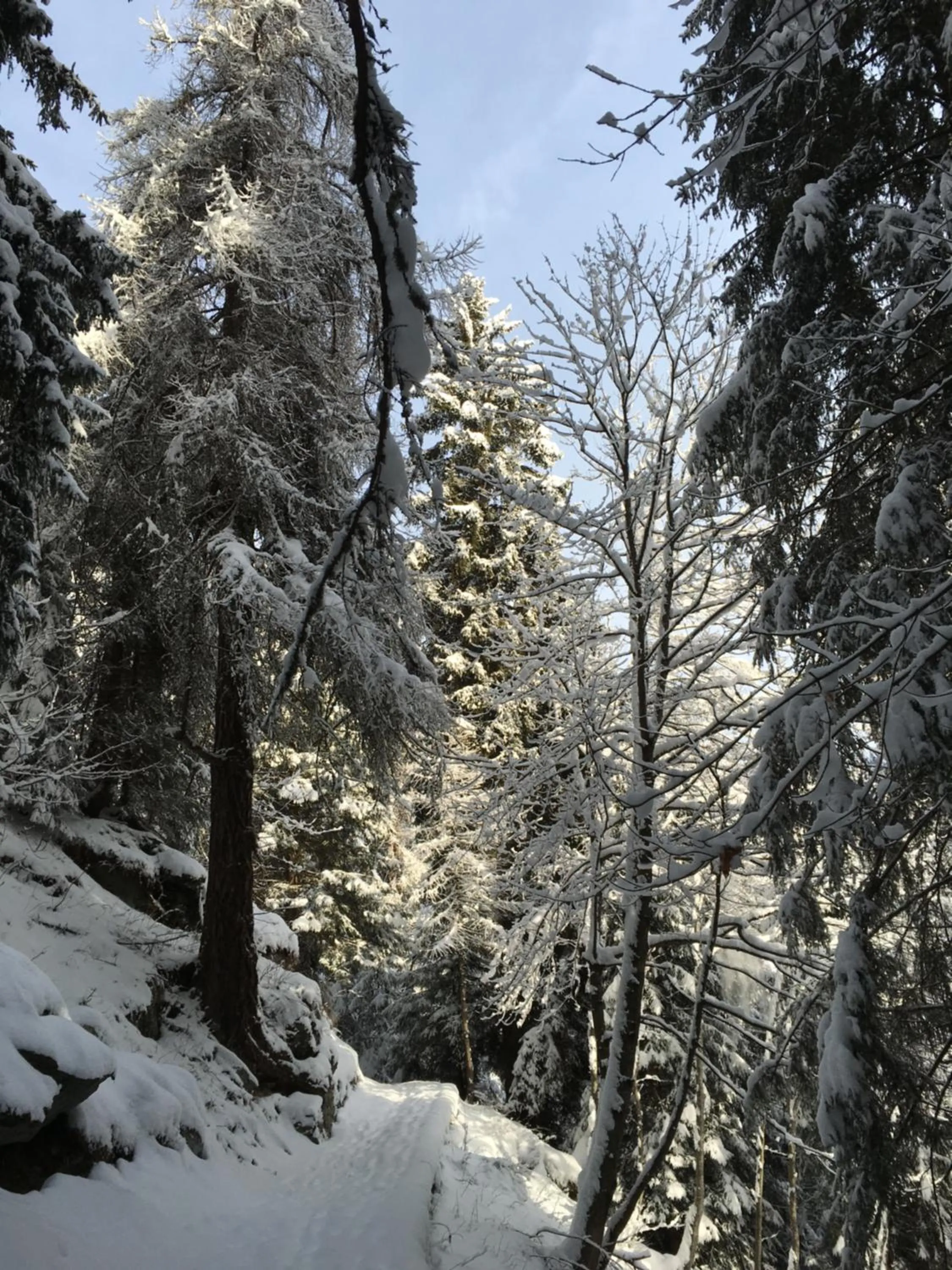 Skiing in Hotel Gran Baita