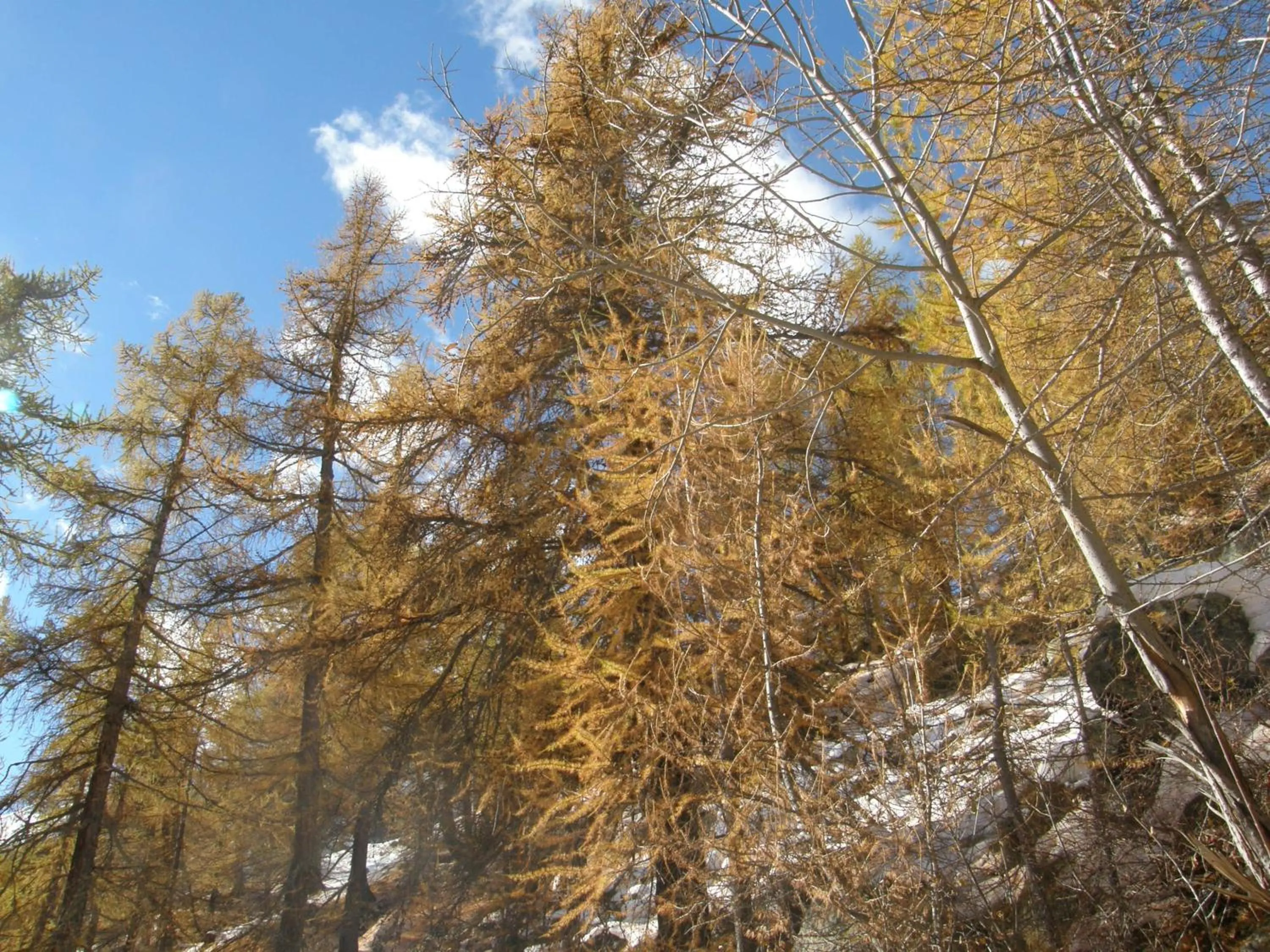 Winter in Hotel Gran Baita