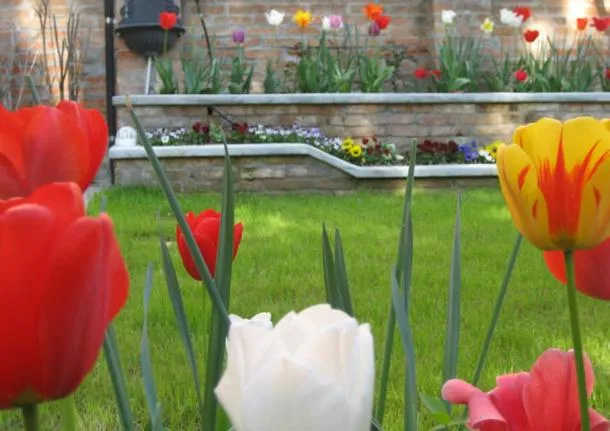 Garden in Bed and Breakfast Casa delle Rose Lido Venezia