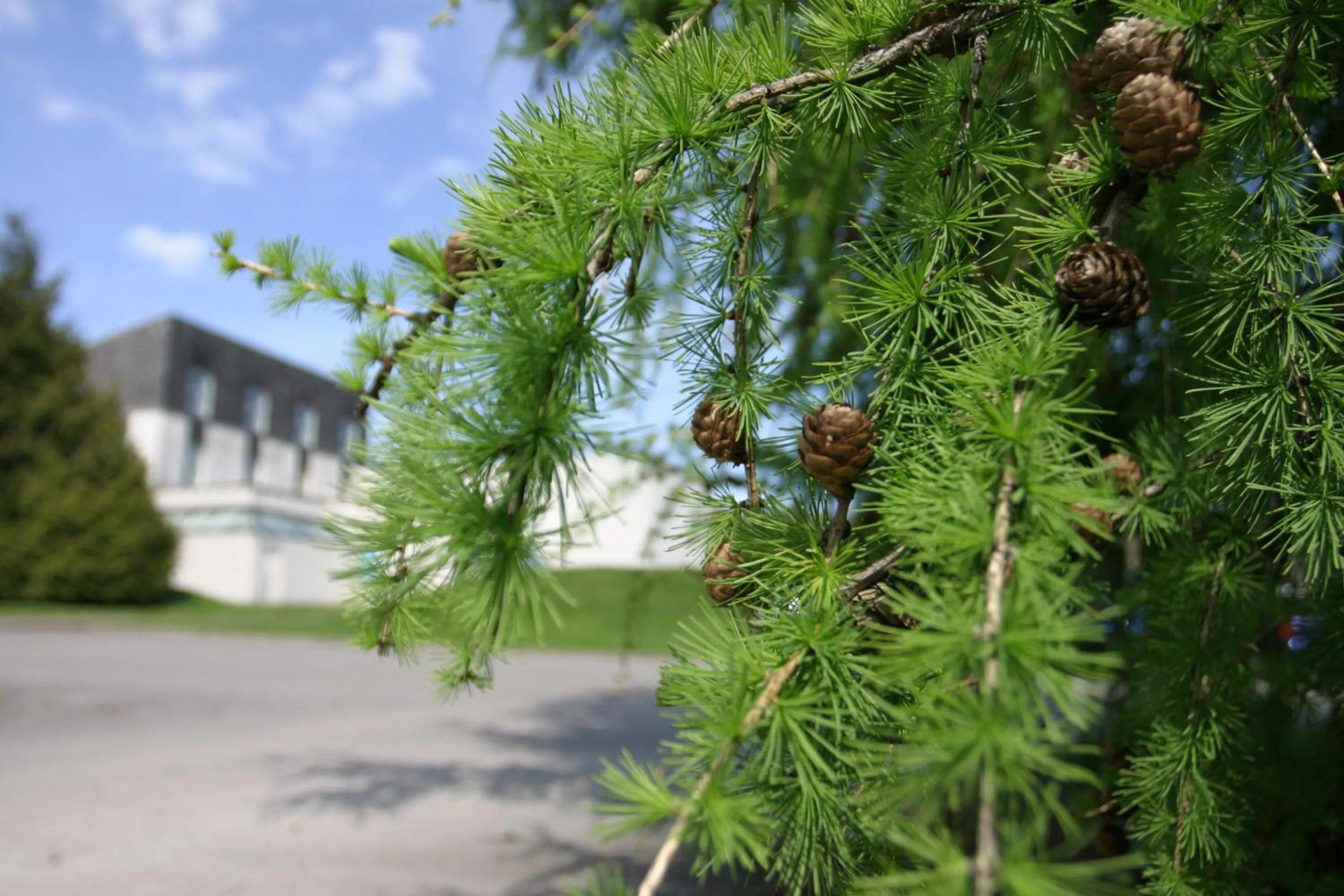 Property building in Eight Acres Hotel