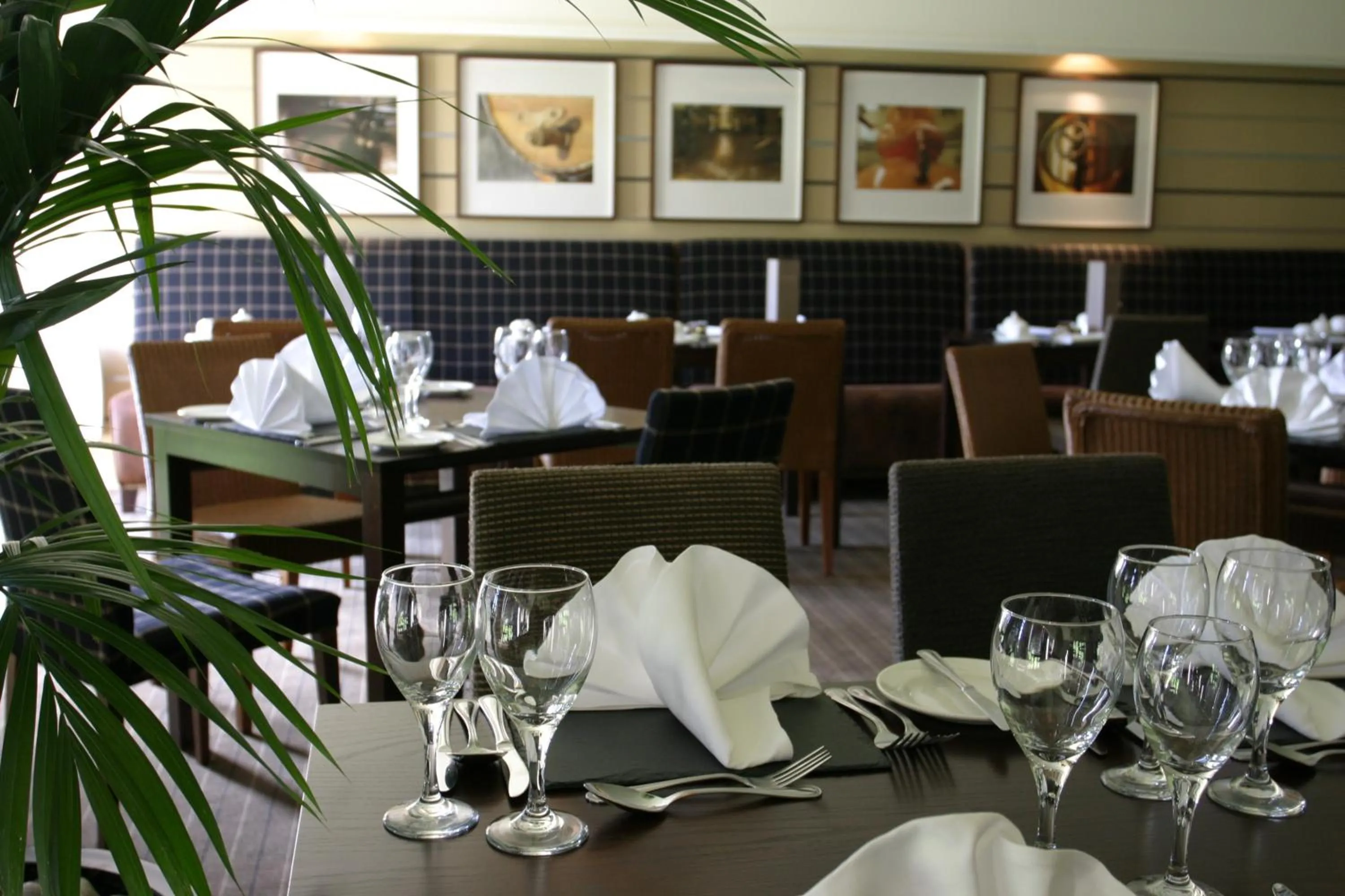 Restaurant/places to eat in Eight Acres Hotel