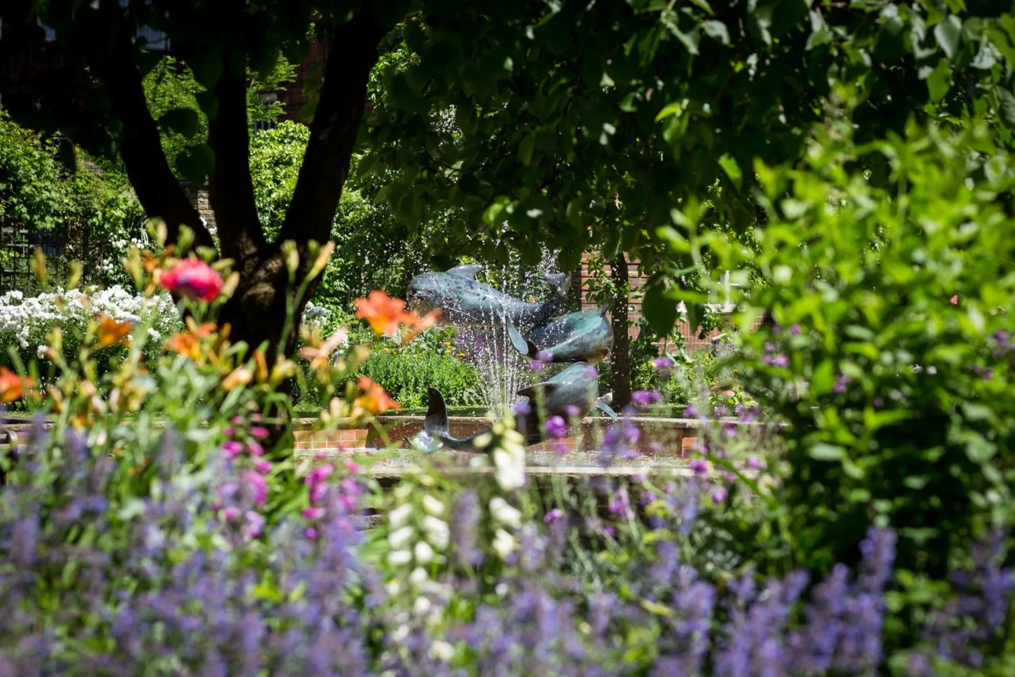 Garden in Dolphin House Serviced Apartments