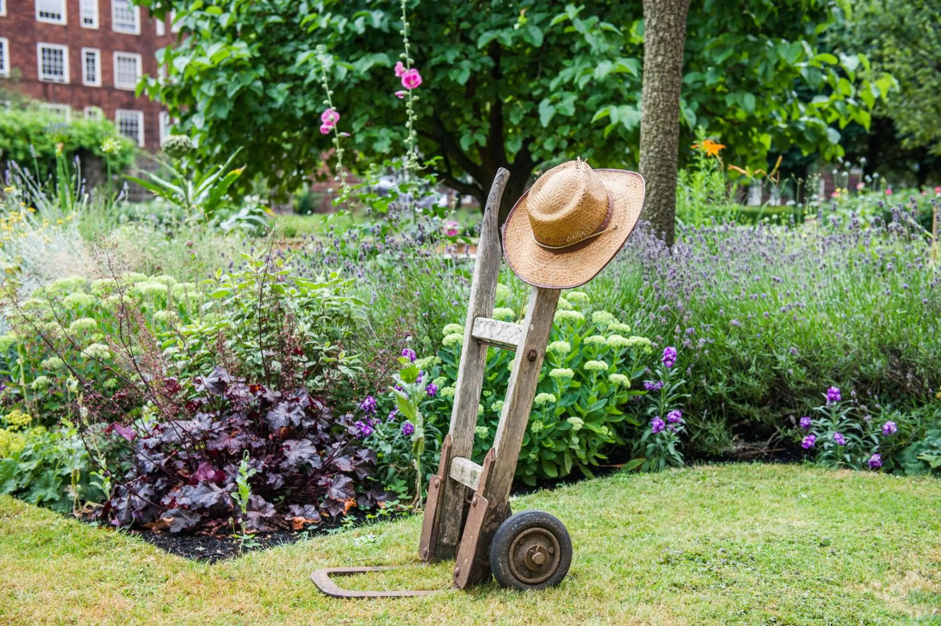 Garden in Dolphin House Serviced Apartments