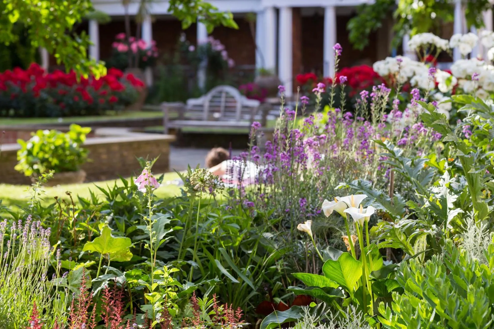 Garden in Dolphin House Serviced Apartments