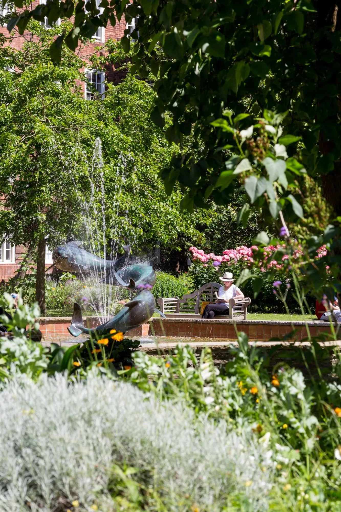 Garden in Dolphin House Serviced Apartments