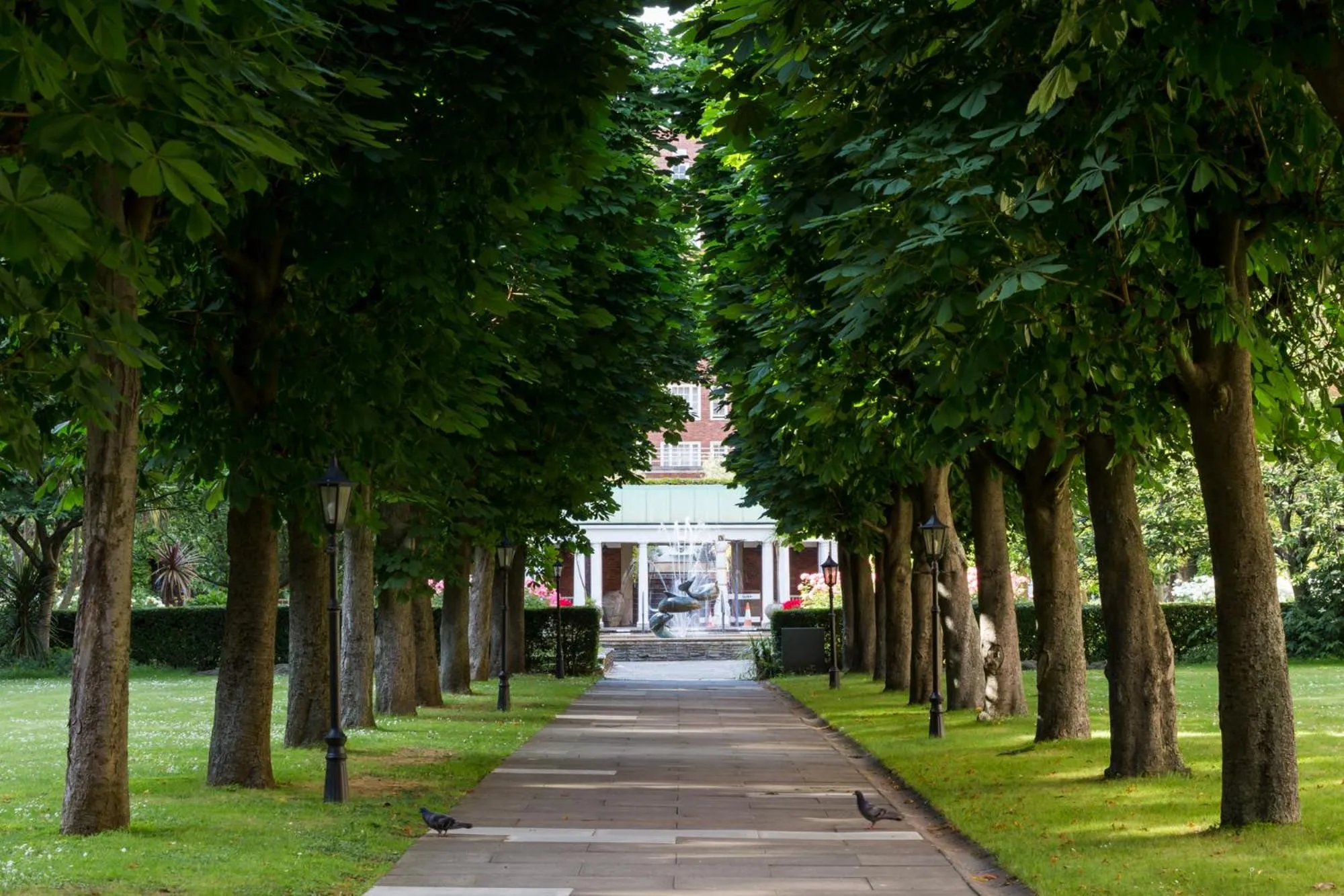 Garden in Dolphin House Serviced Apartments