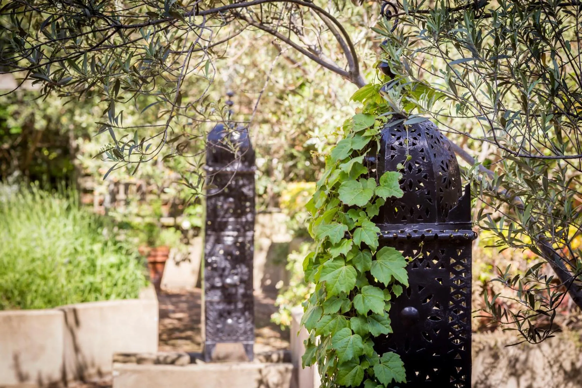 Garden view in Dolphin House Serviced Apartments