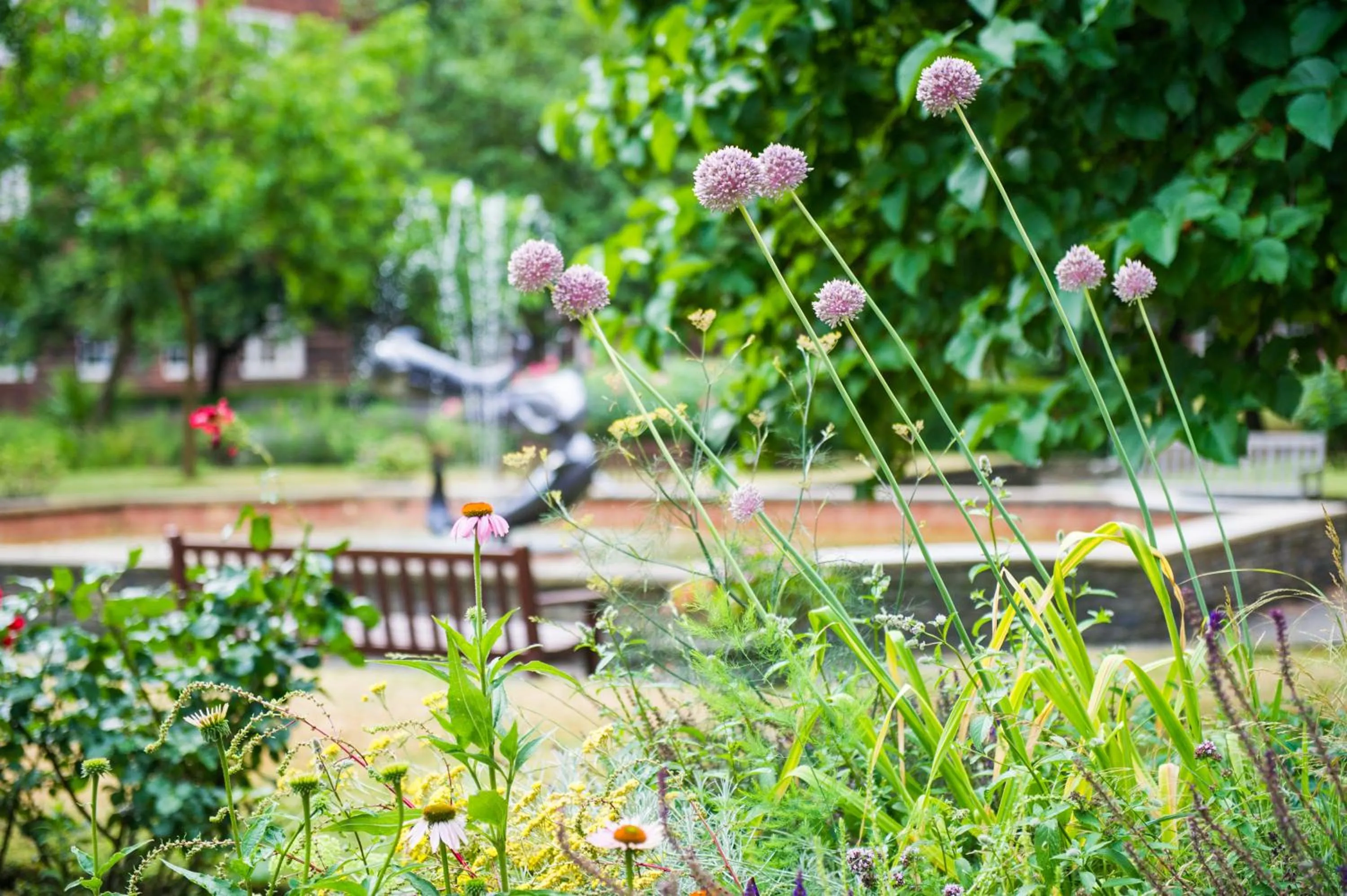 Garden in Dolphin House Serviced Apartments