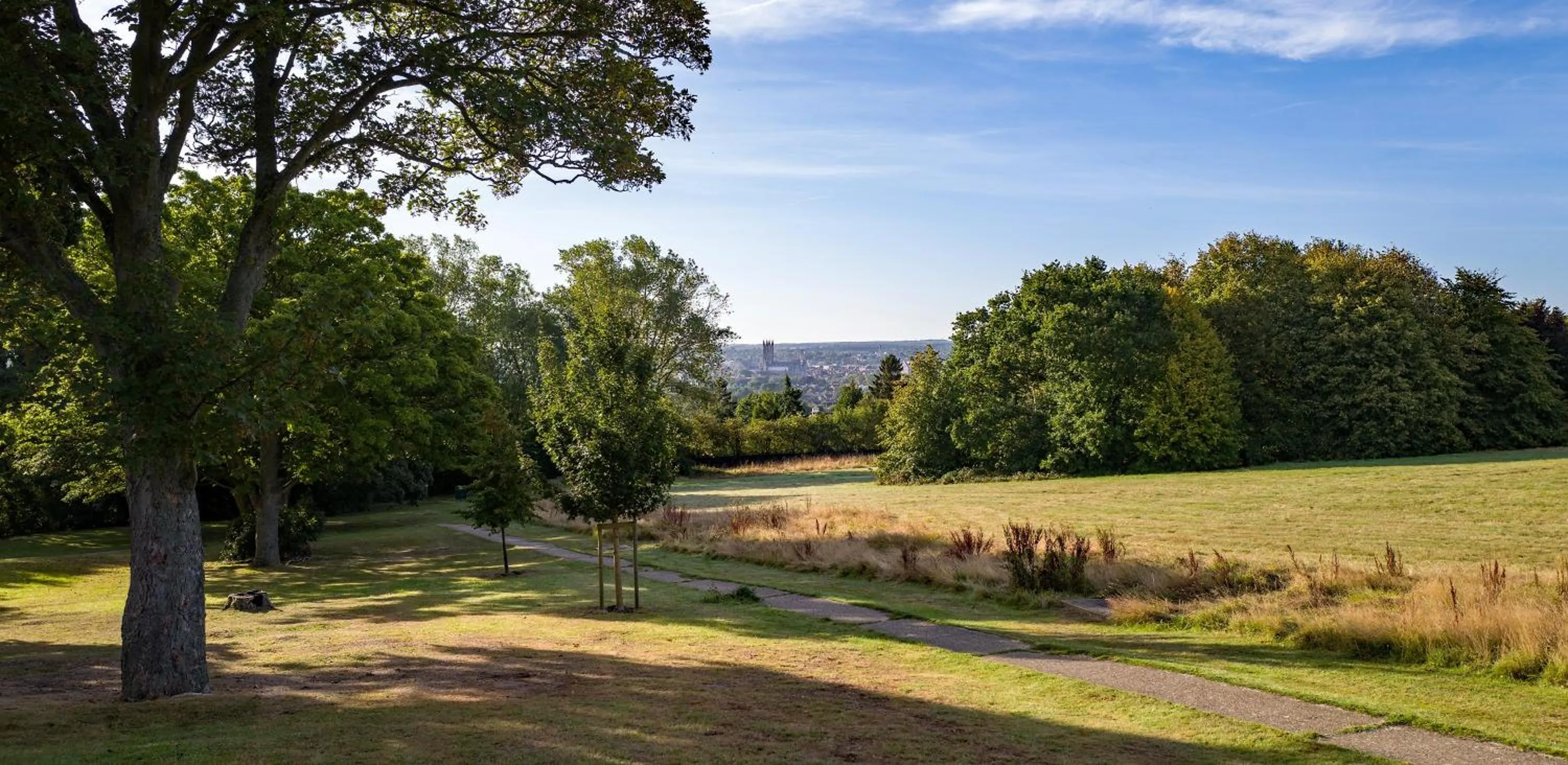 View (from property/room) in Tyler Court, University of Kent