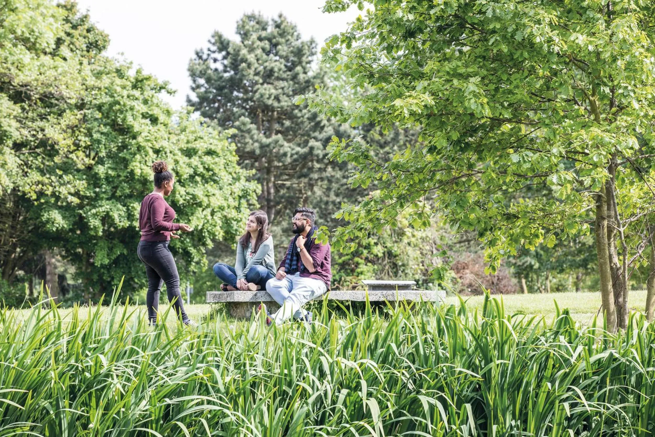 Garden in Tyler Court, University of Kent