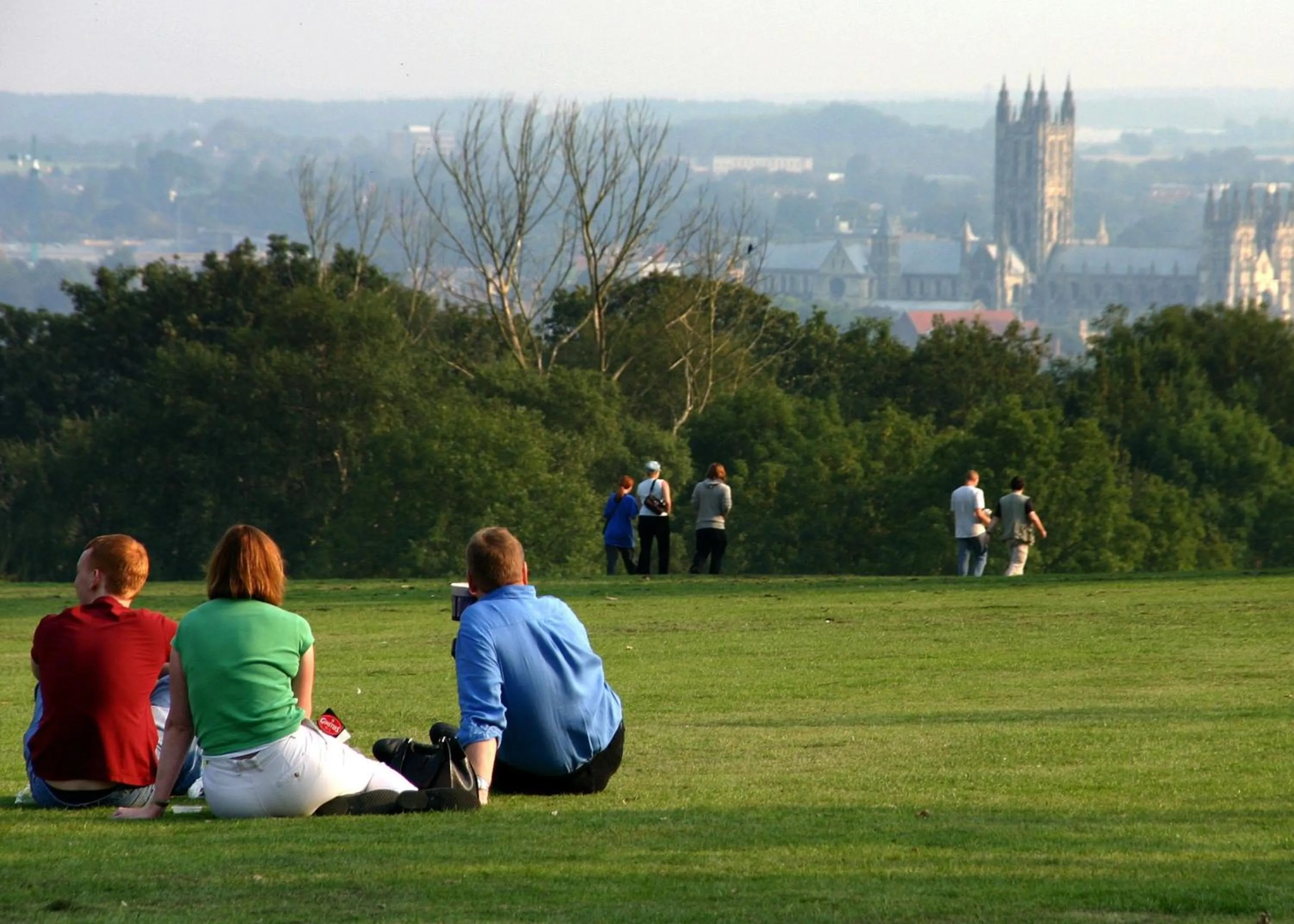 Garden in Tyler Court, University of Kent