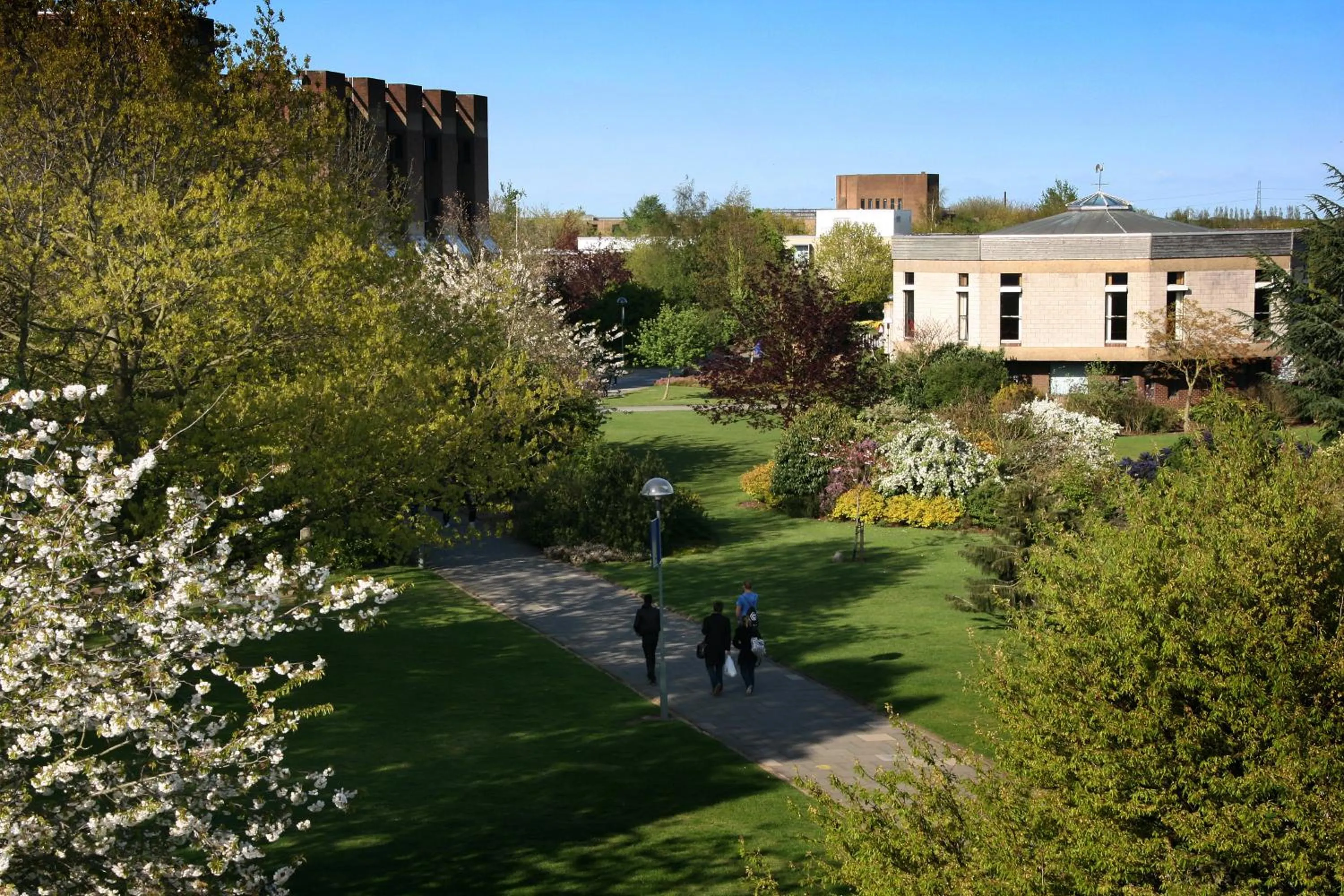 Garden in Tyler Court, University of Kent