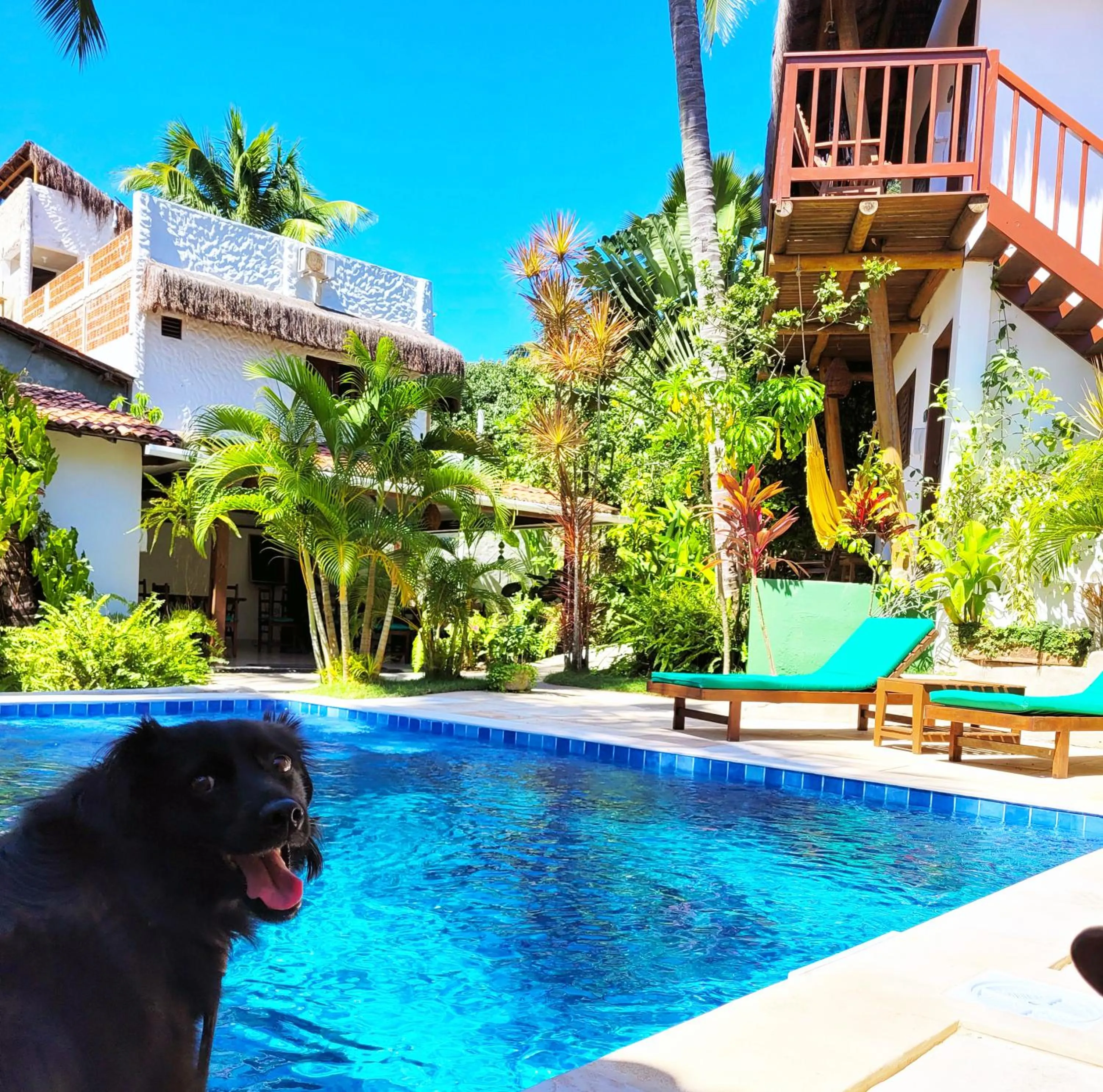 Pool view in Pousada Aconchego da Pipa