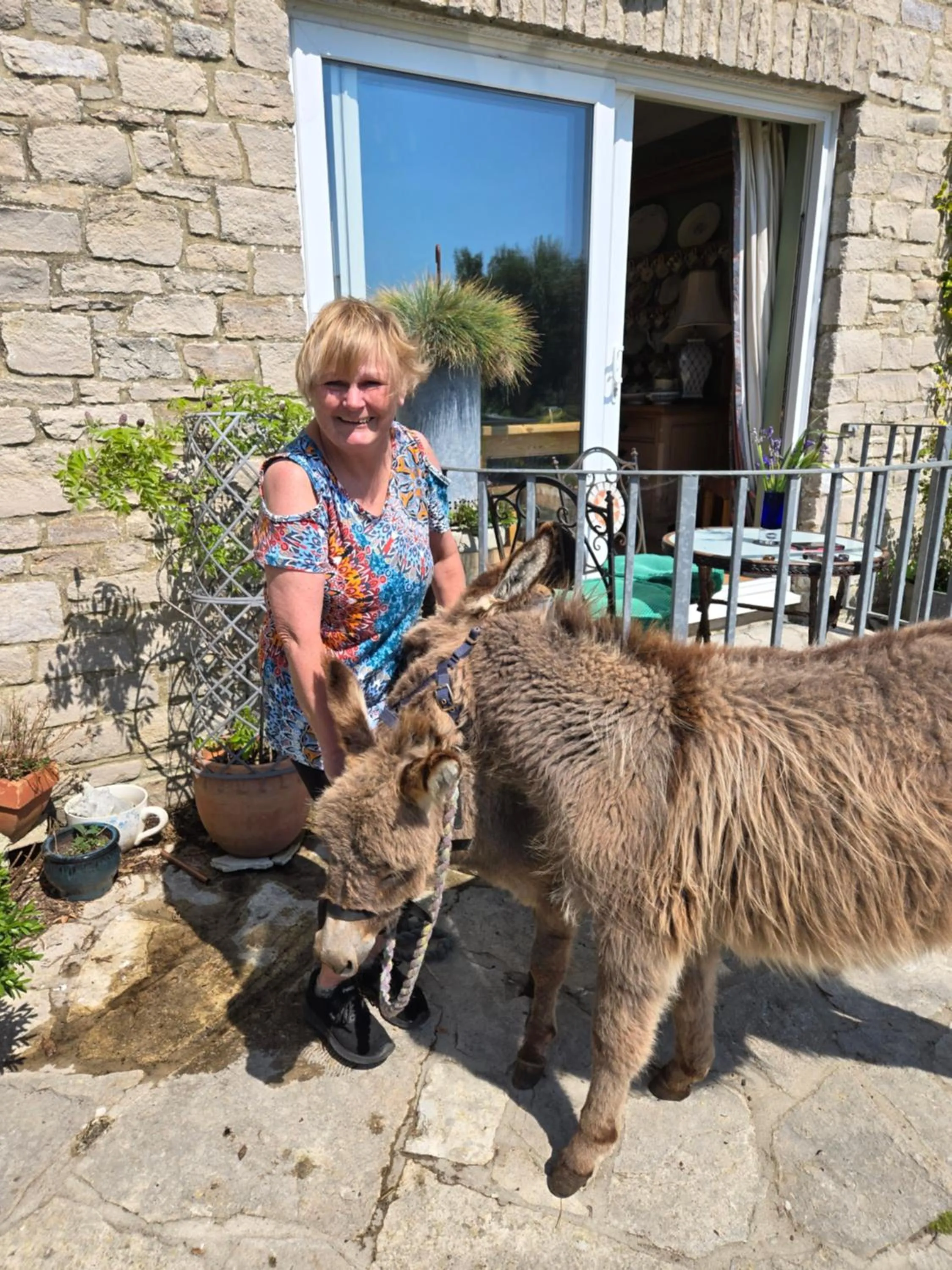 Pets in Swallows Rest