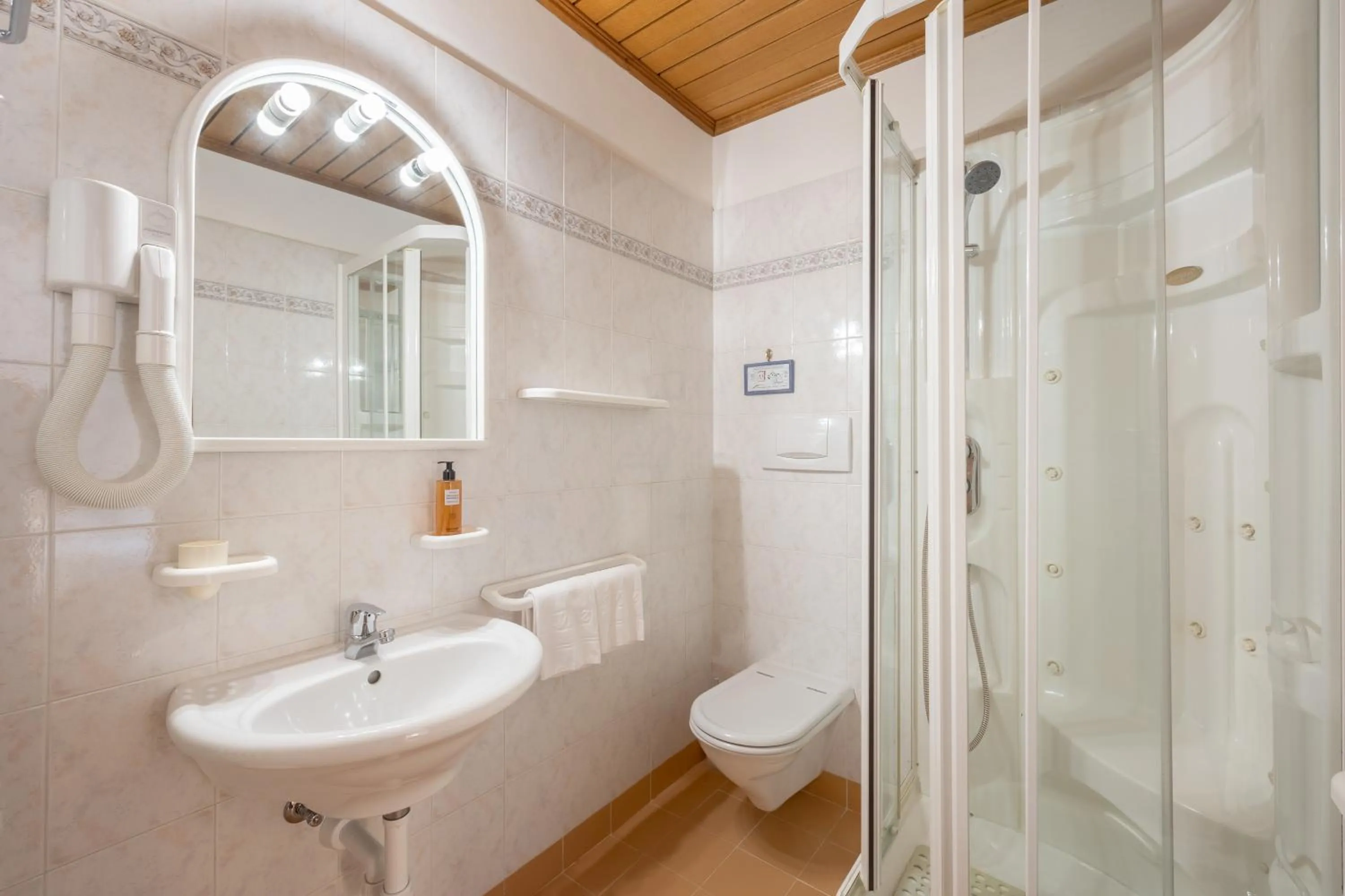 Bathroom in Hotel Vioz