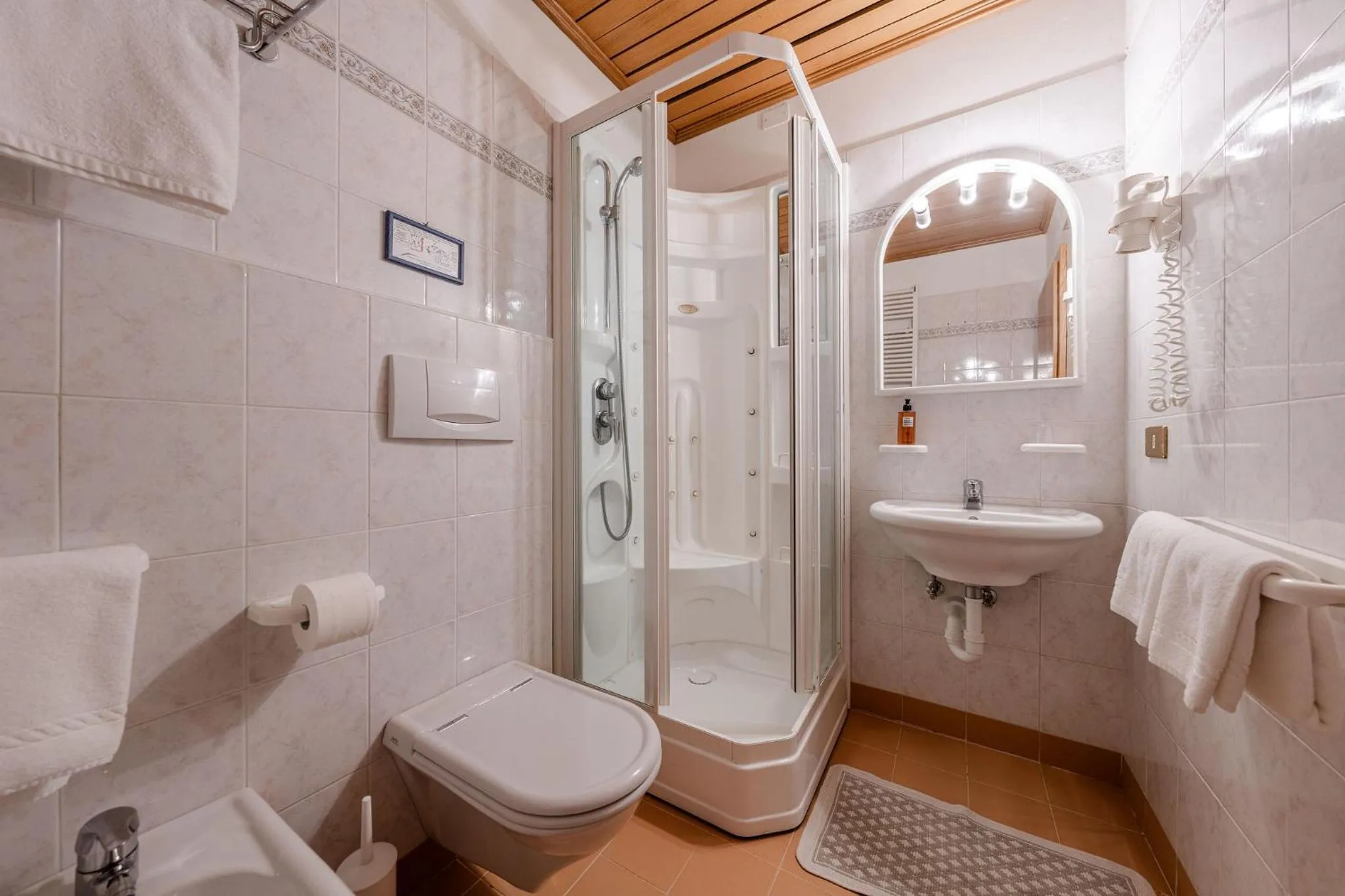 Bathroom in Hotel Vioz