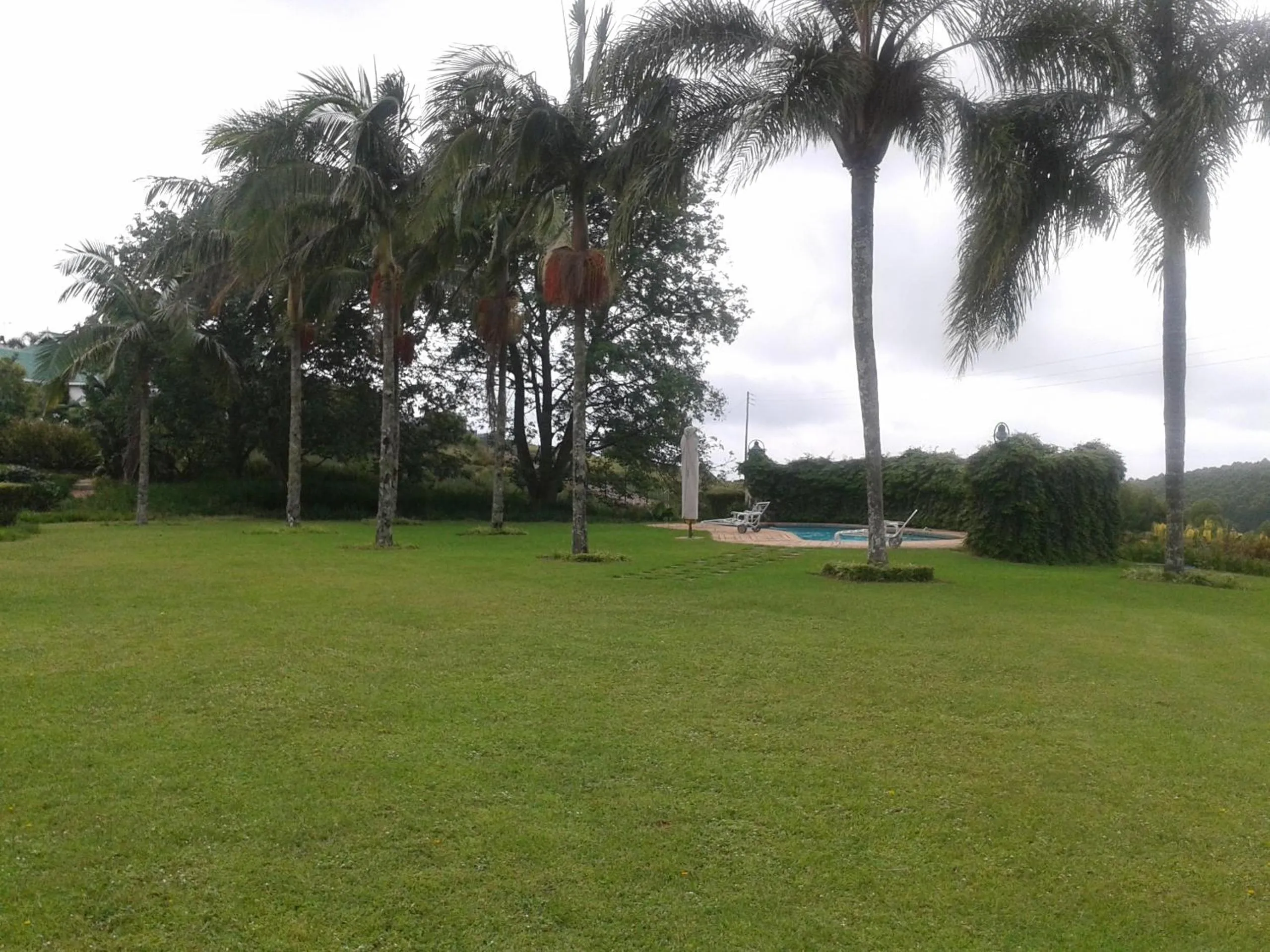 Swimming pool in Sherwood's Country House