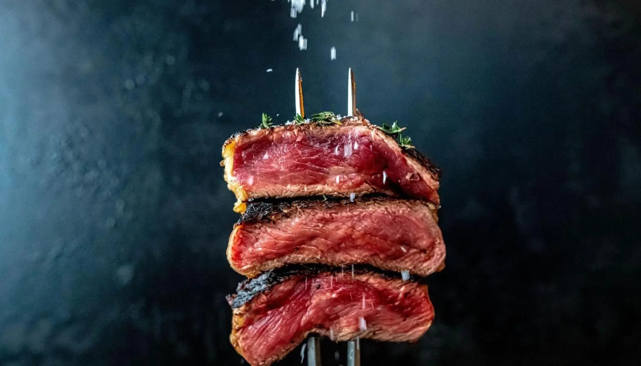 Food in Elephant Hotel Food in Elephant Hotel