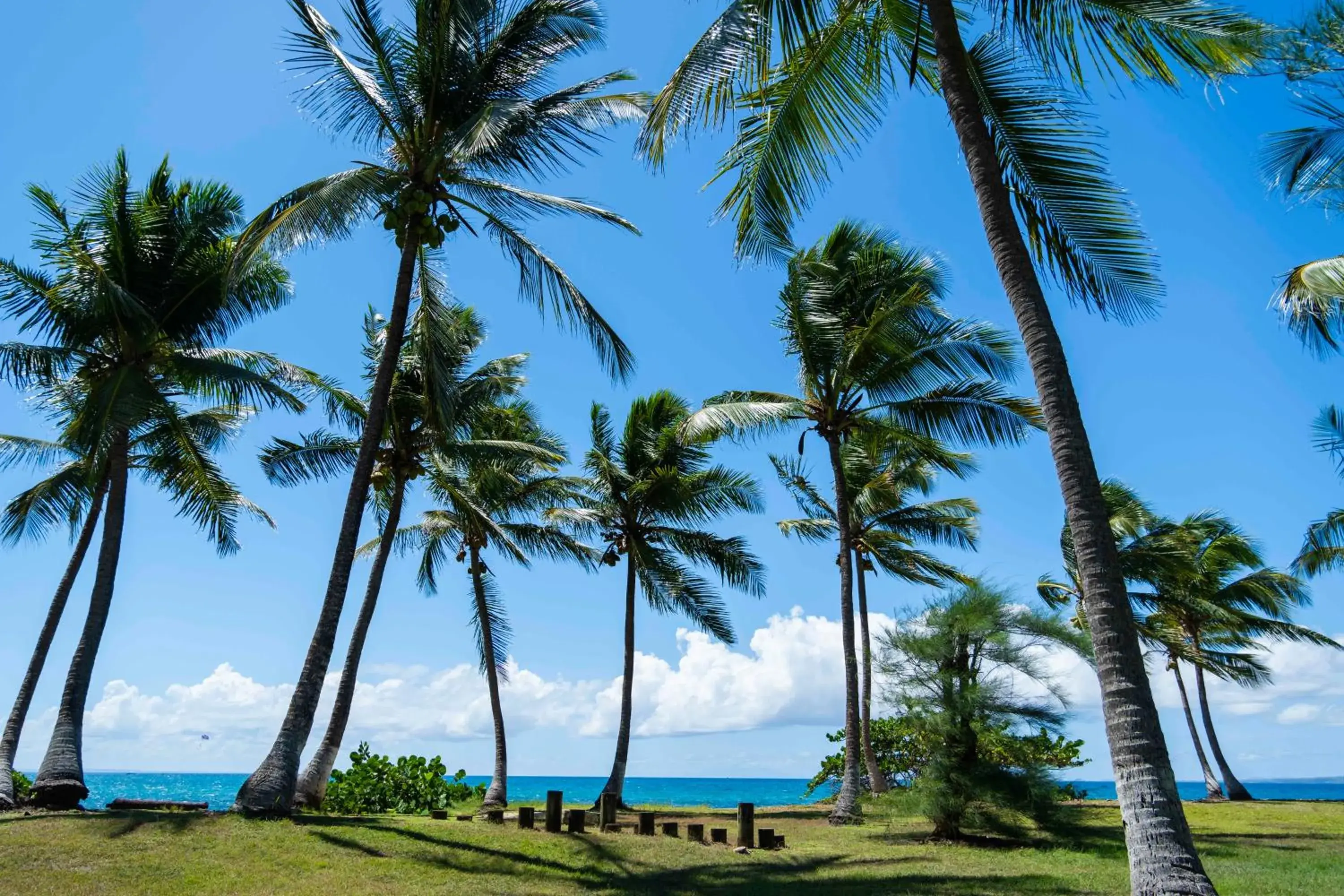 Garden view in Hotel Fleur d'Epee Garden view in Hotel Fleur d'Epee