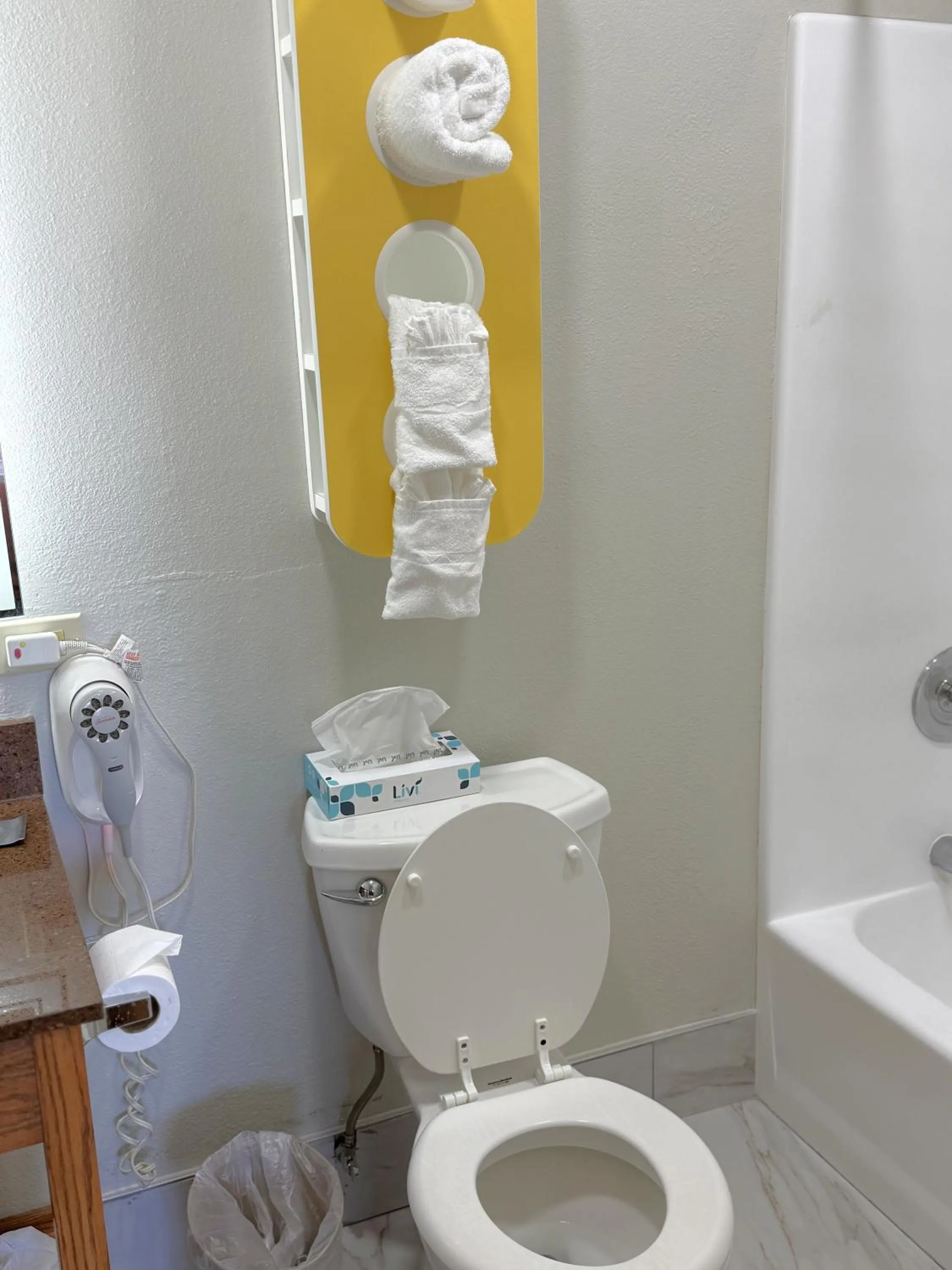 Toilet in TownHouse Extended Stay Hotel Downtown