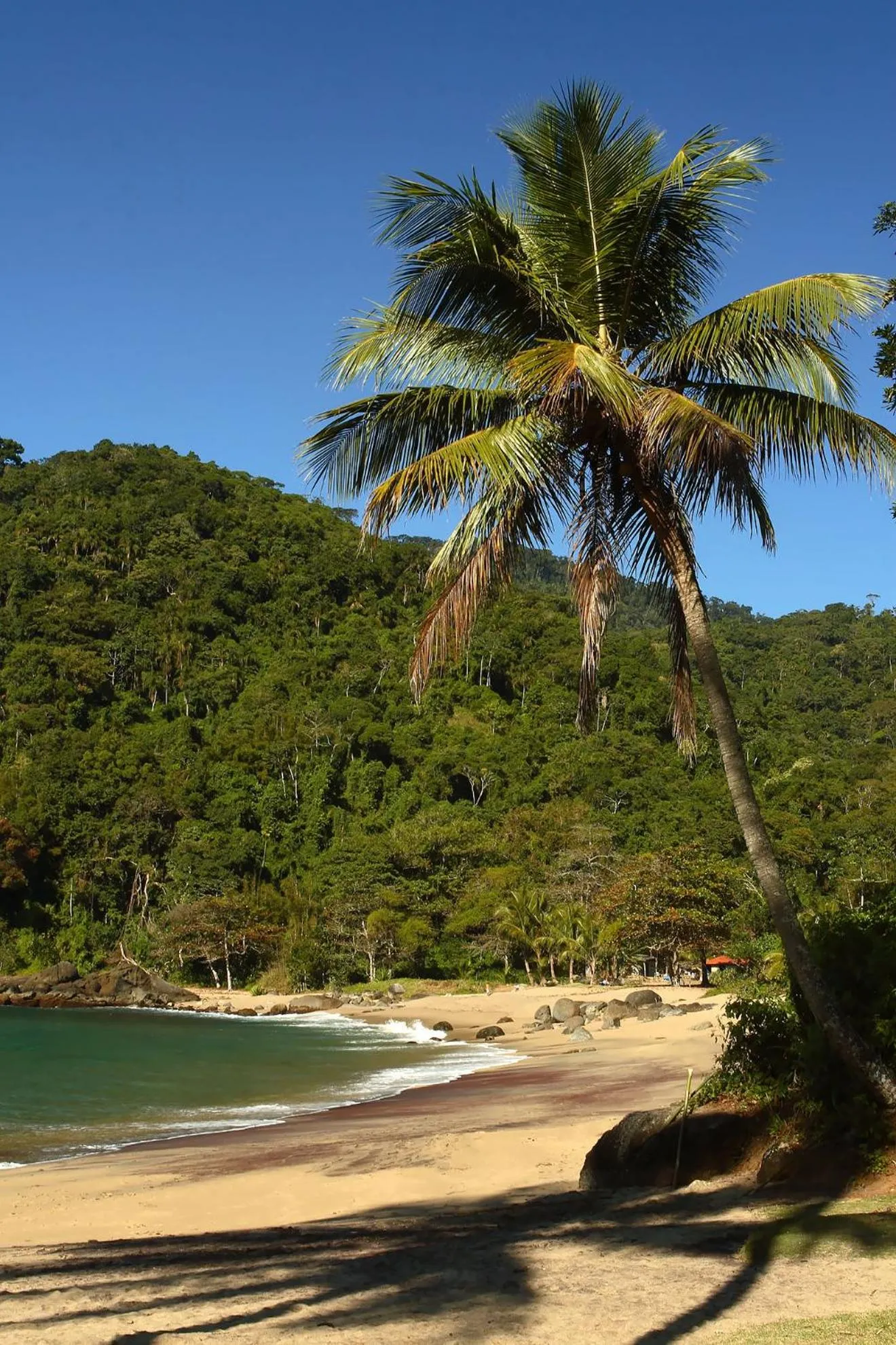 Beach in Hotel Ilhasol