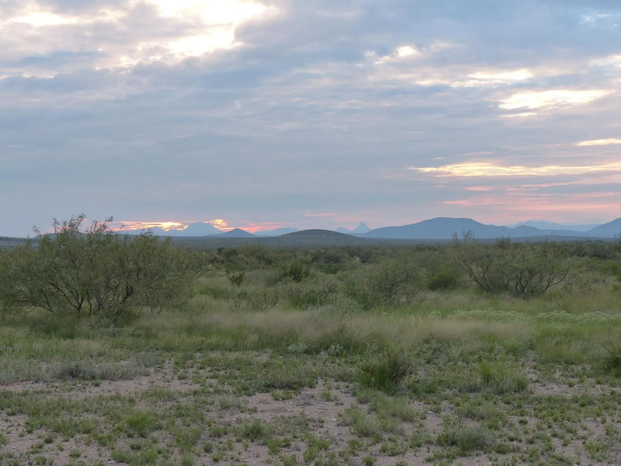 Spring in Hotel Parker at Quarter Circle 7