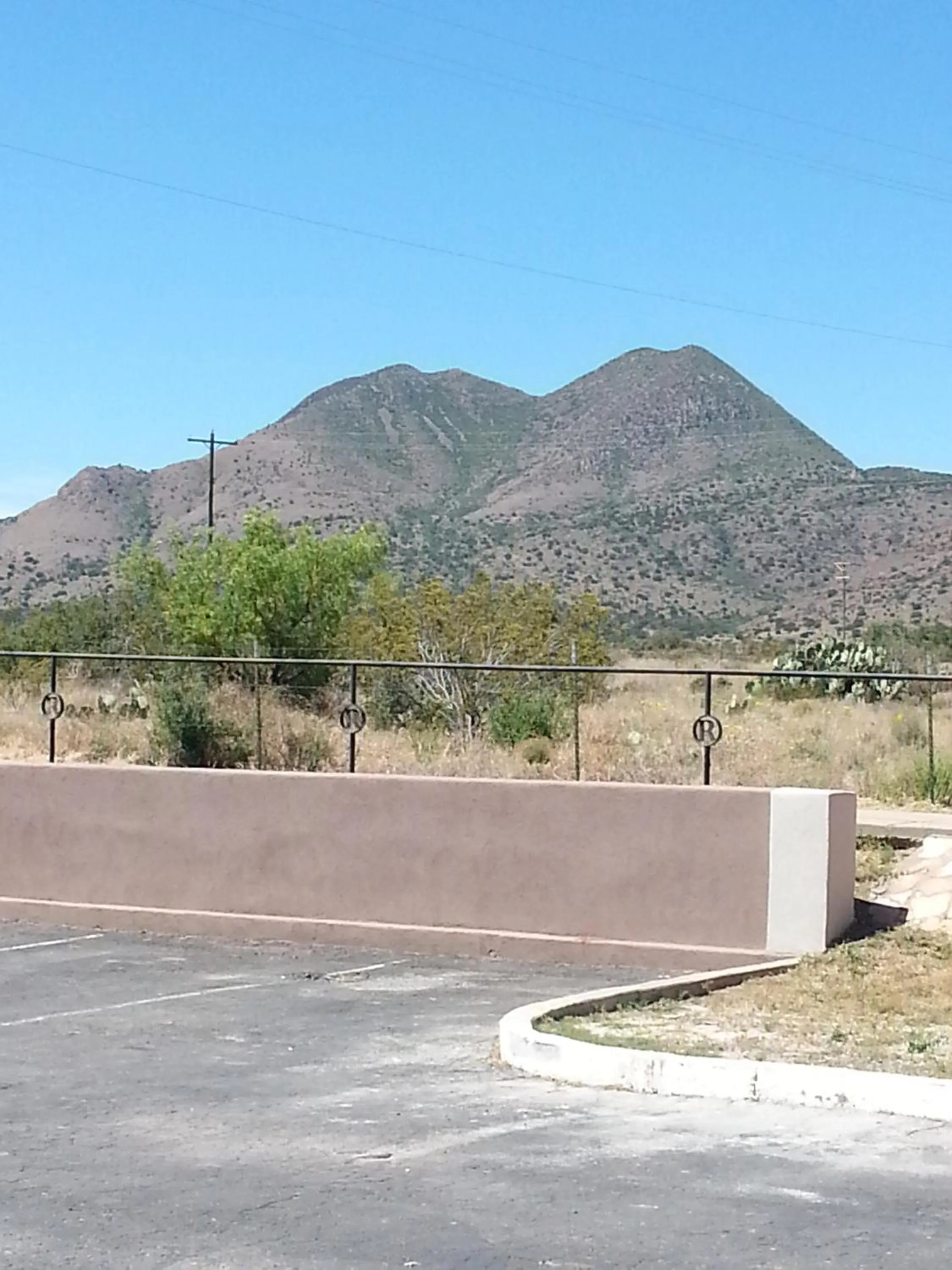 Natural landscape in Hotel Parker at Quarter Circle 7