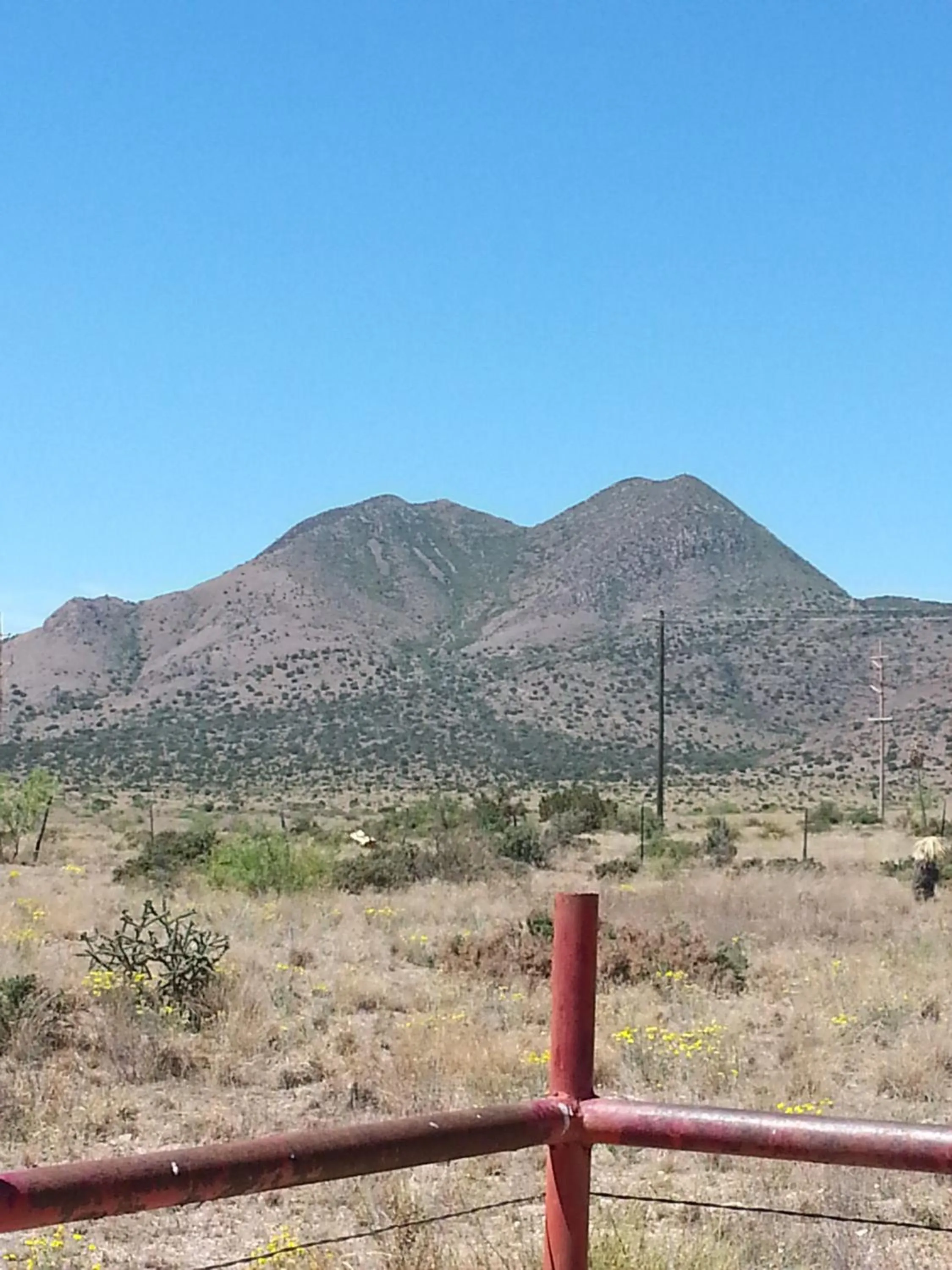 Spring in Hotel Parker at Quarter Circle 7